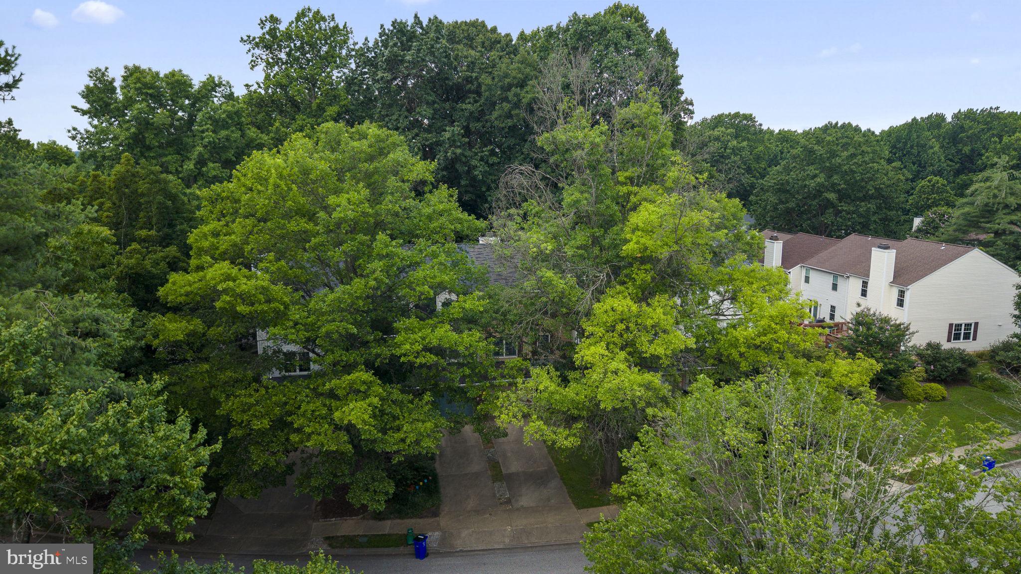 VILLAGE OF HICKORY RIDGE - Residential