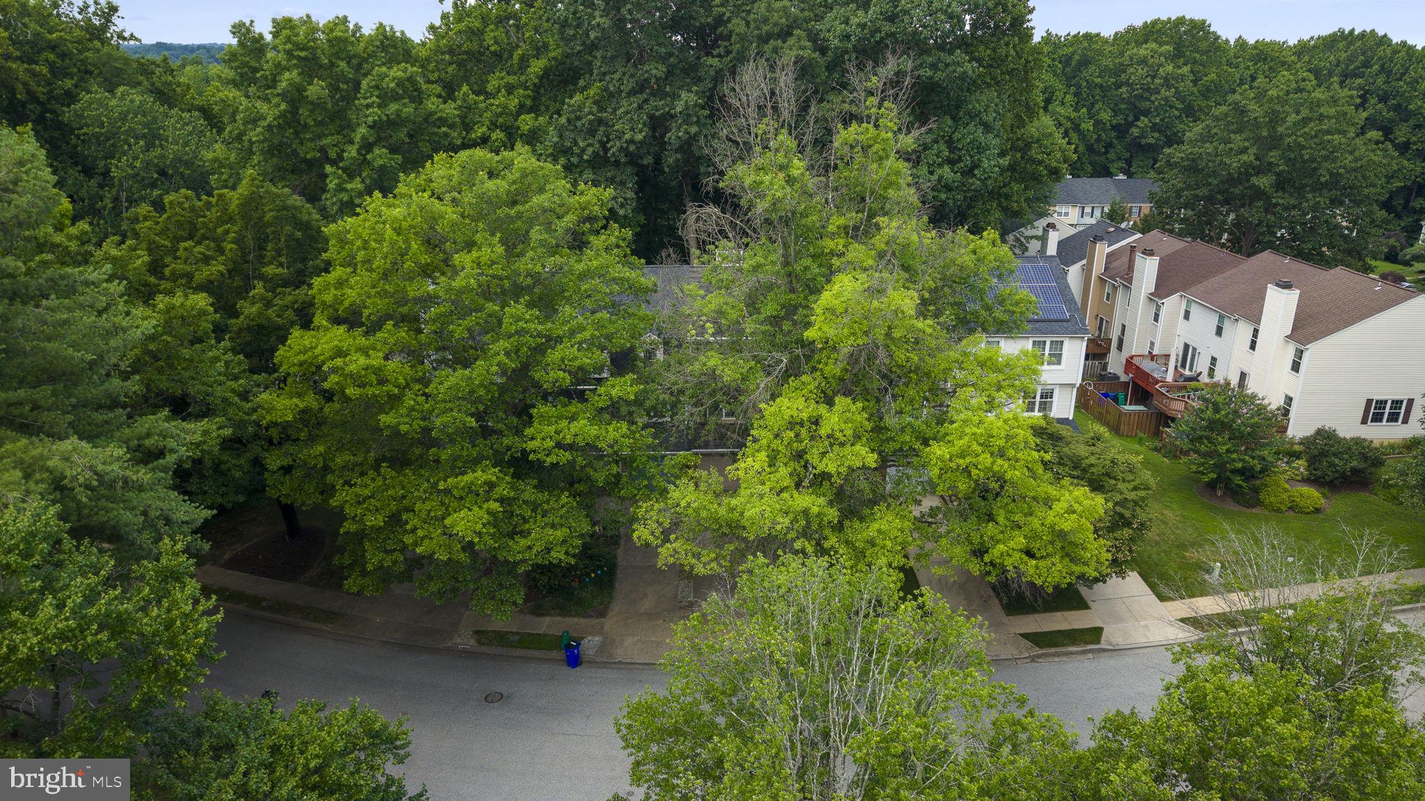 VILLAGE OF HICKORY RIDGE - Residential