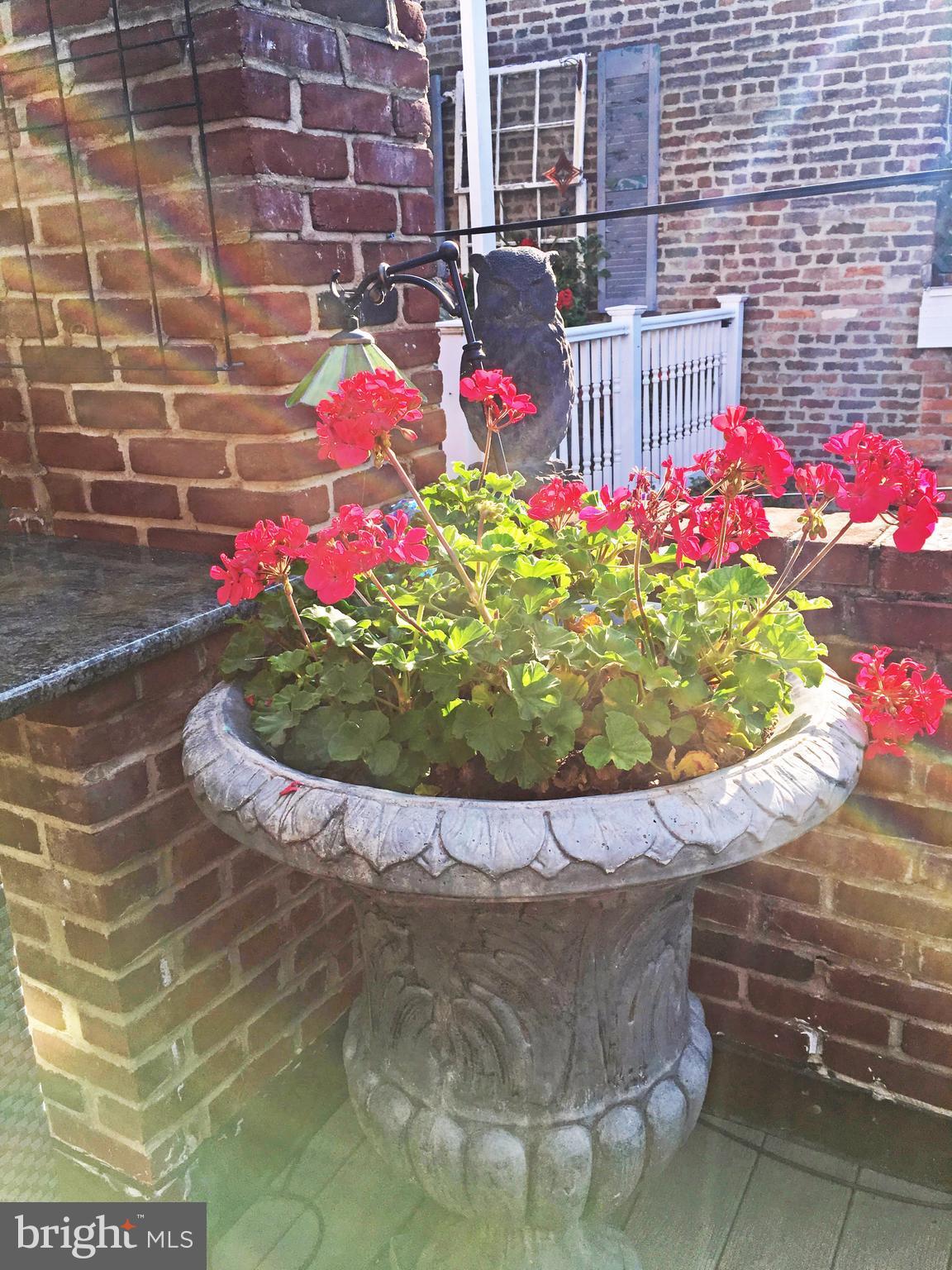 OLD TOWN - Residential