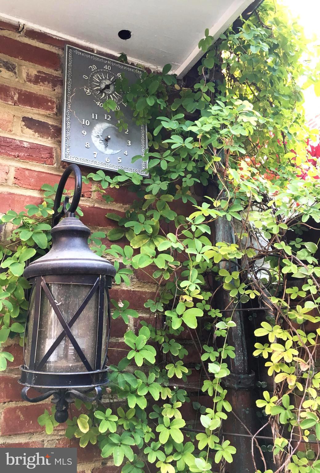 OLD TOWN - Residential