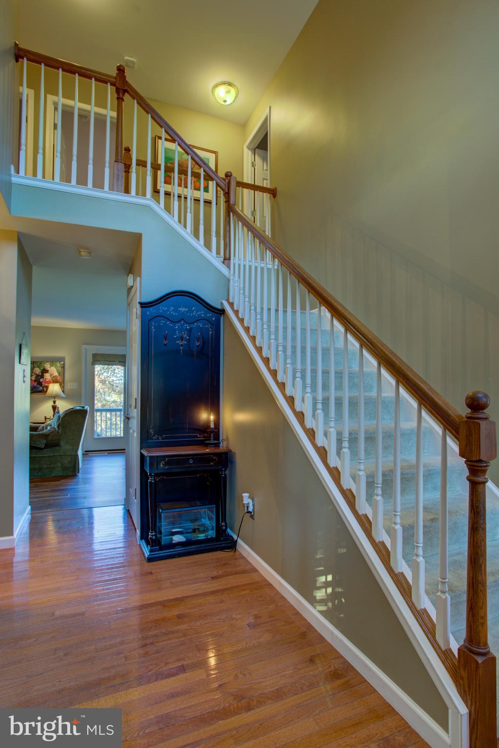 CEDAR CHASE - Residential