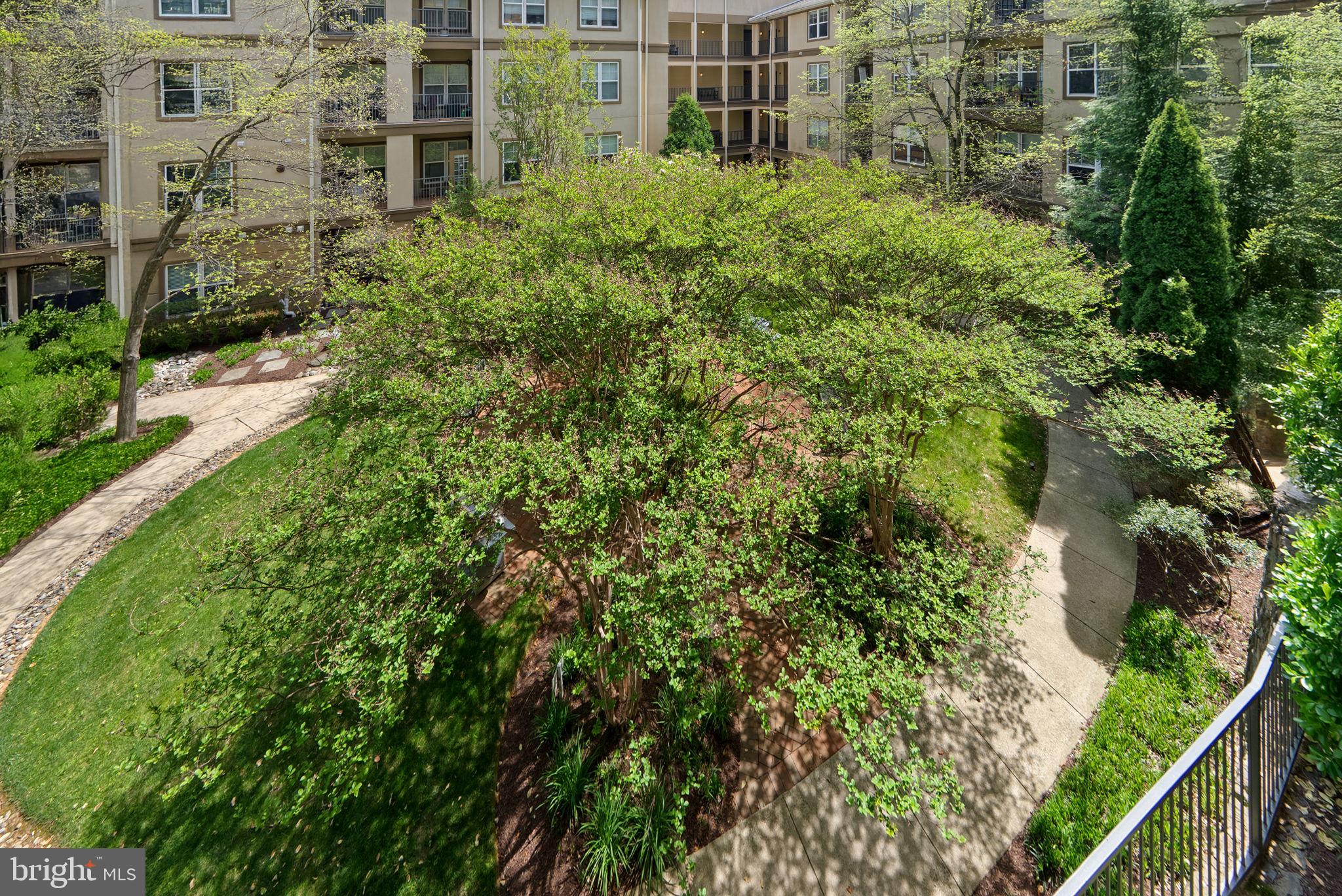 WHITE FLINT STATION - Residential