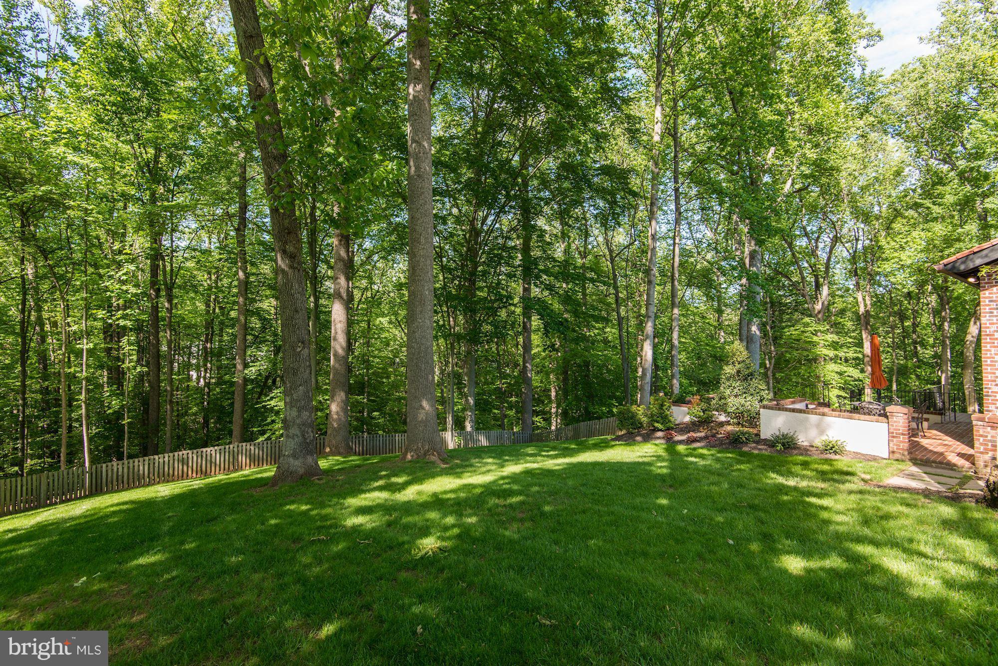 POTOMAC OVERLOOK - Residential