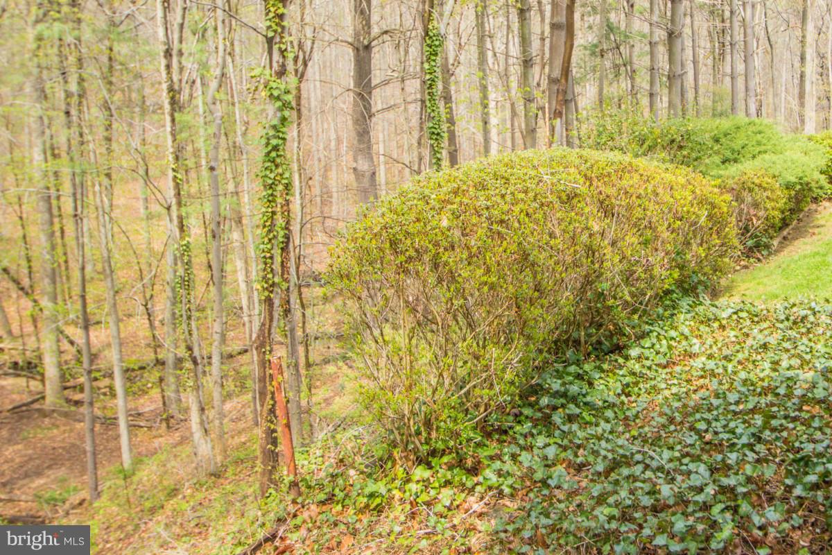 KEENE MILL STATION - Residential