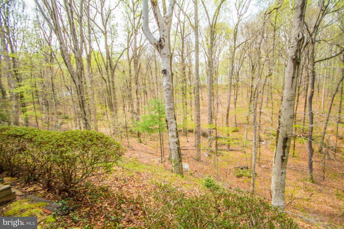 KEENE MILL STATION - Residential