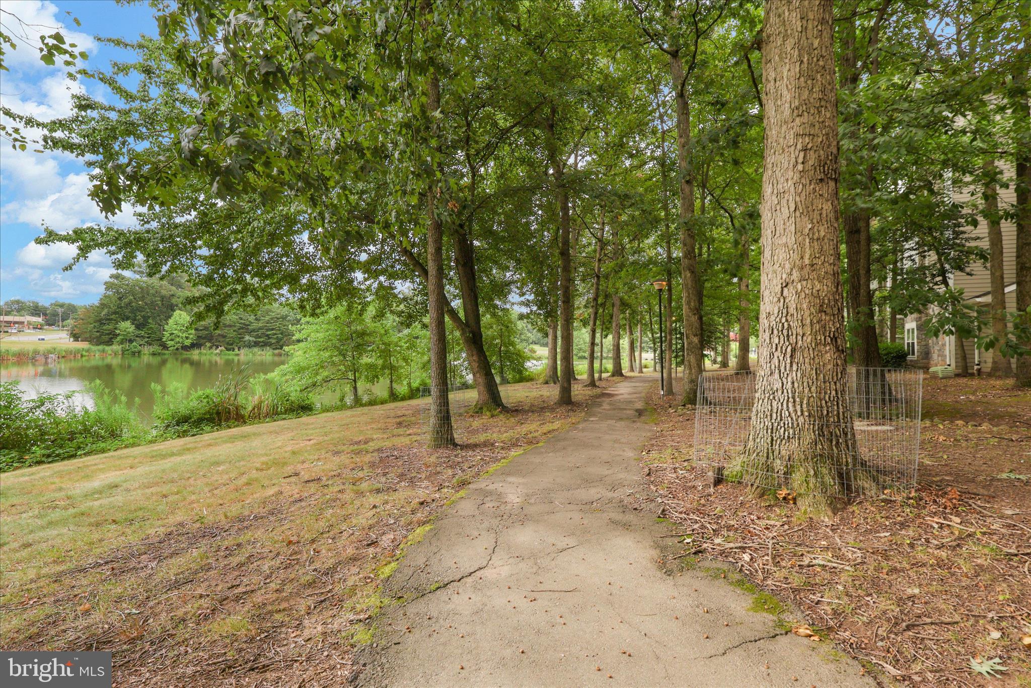 RESTON TOWN CENTER - Residential