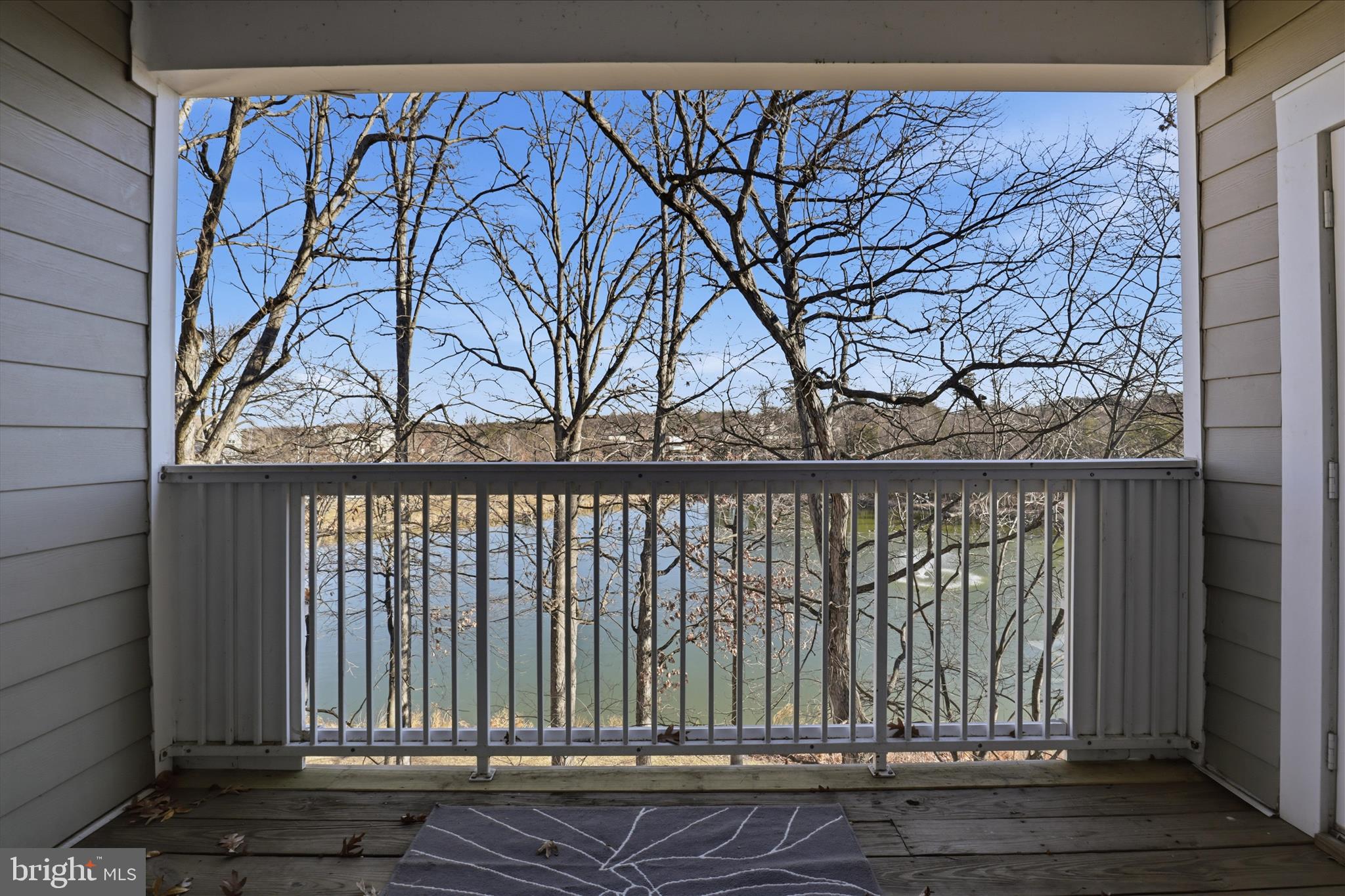 RESTON TOWN CENTER - Residential