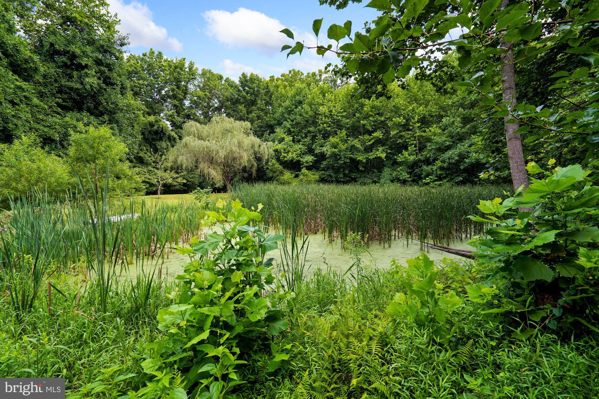 JAMISONS WOODS - Residential