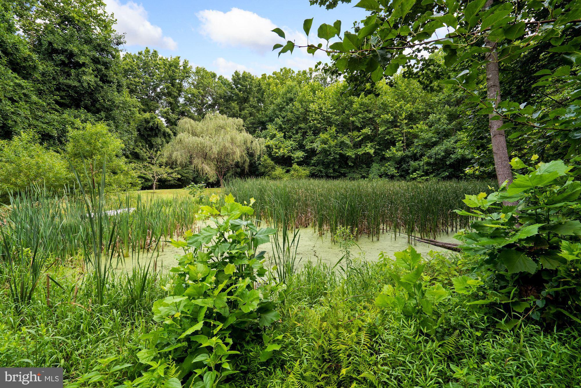 JAMISONS WOODS - Residential