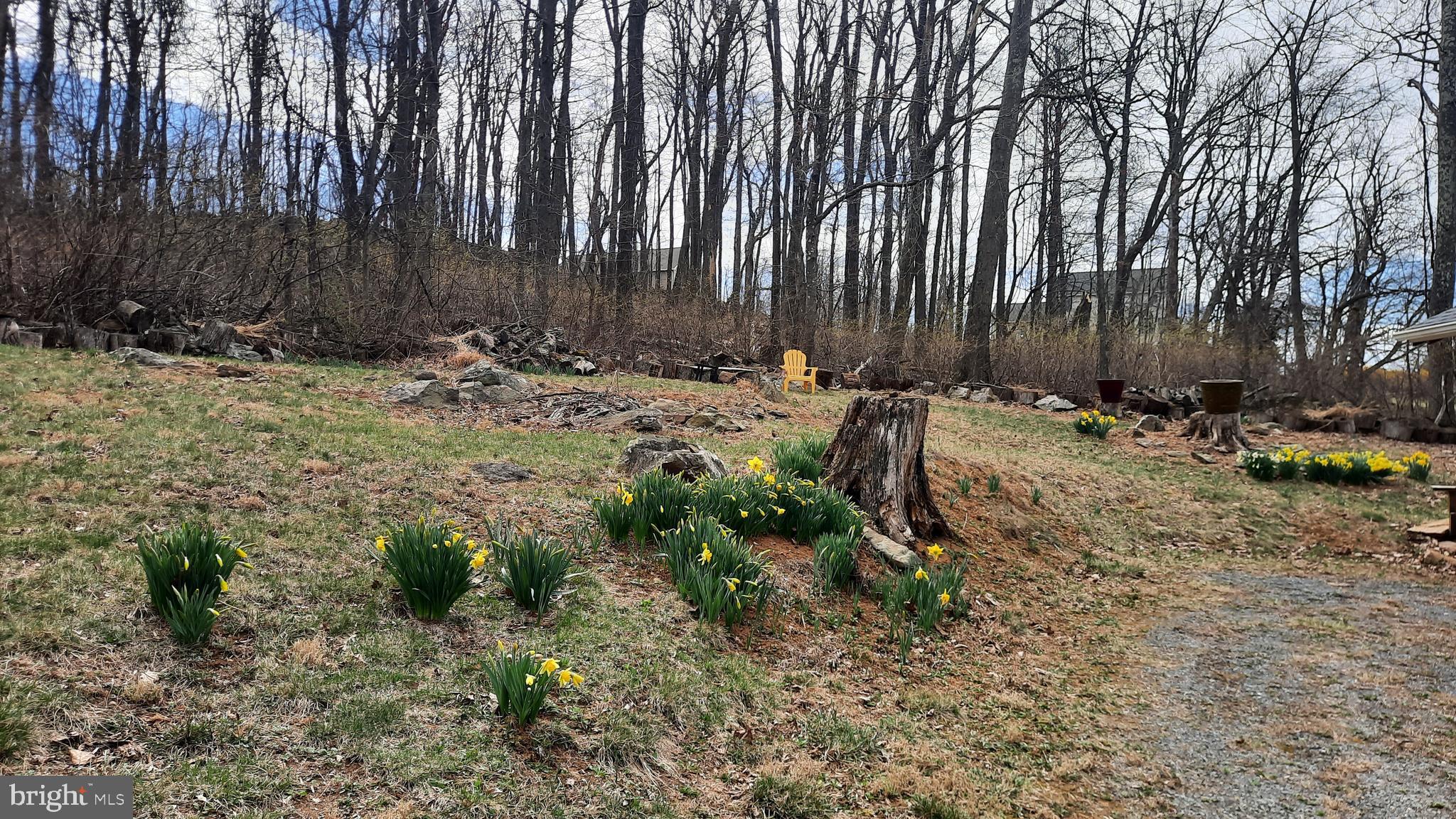 SHEN FARMS MT VIEW - Residential