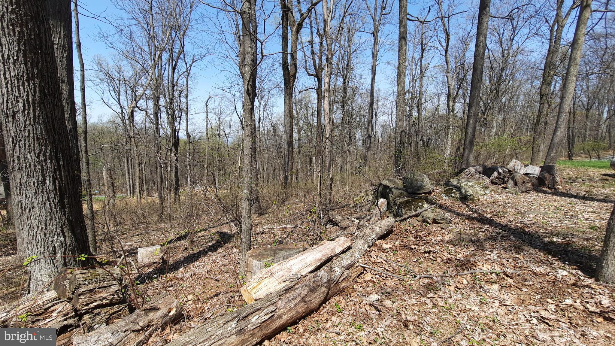 SHEN FARMS MT VIEW - Residential