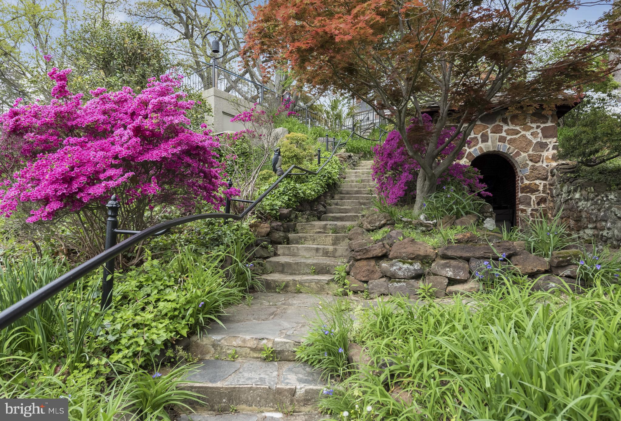 HARLEQUIN - Residential