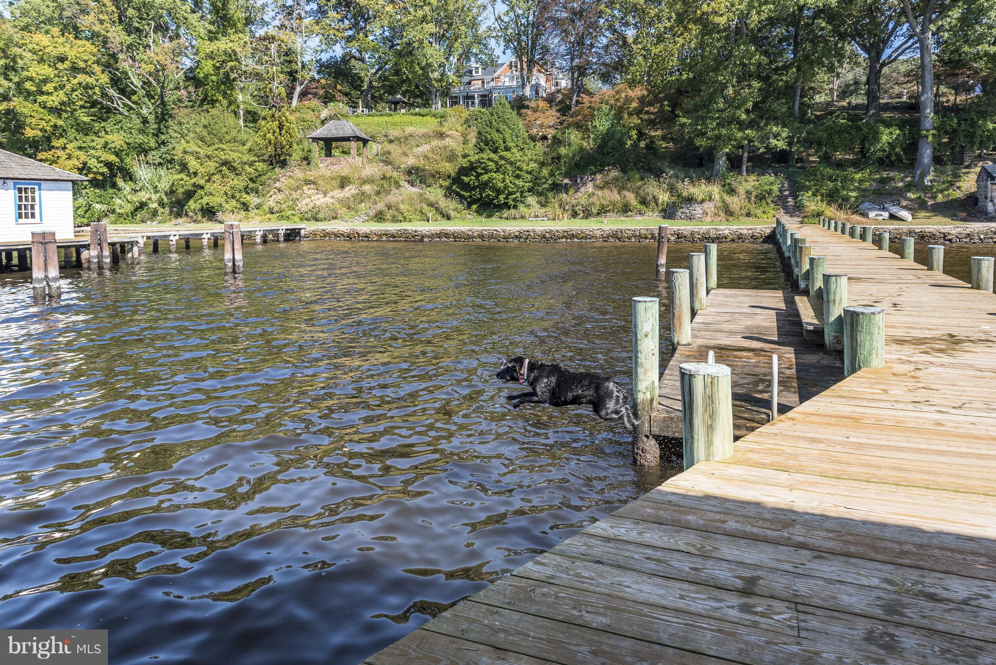 HARLEQUIN - Residential