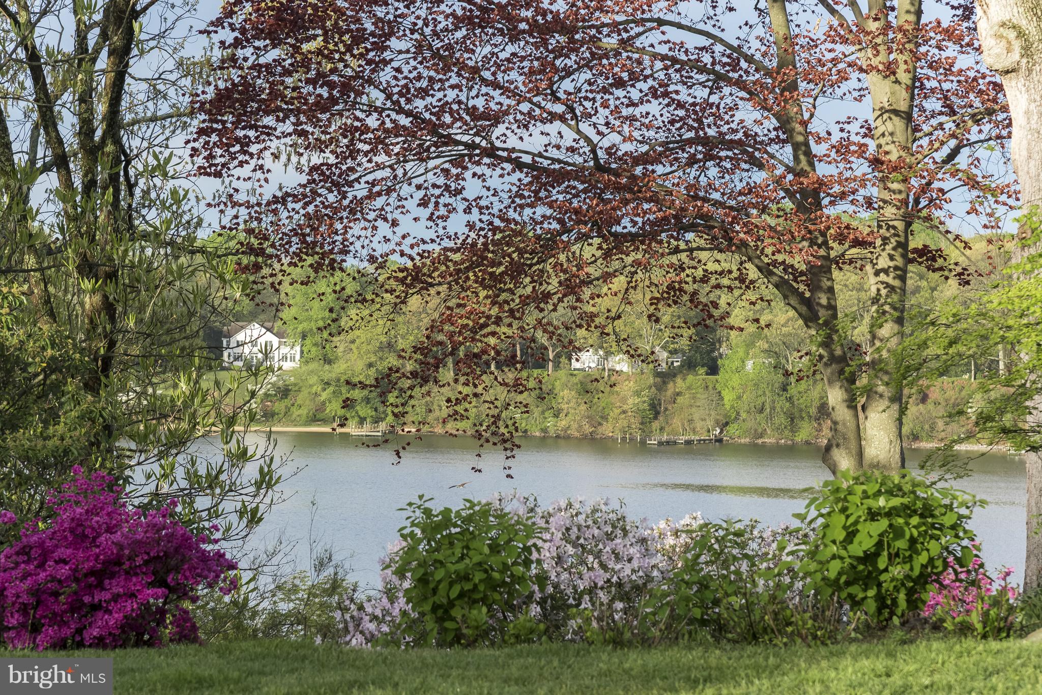 HARLEQUIN - Residential