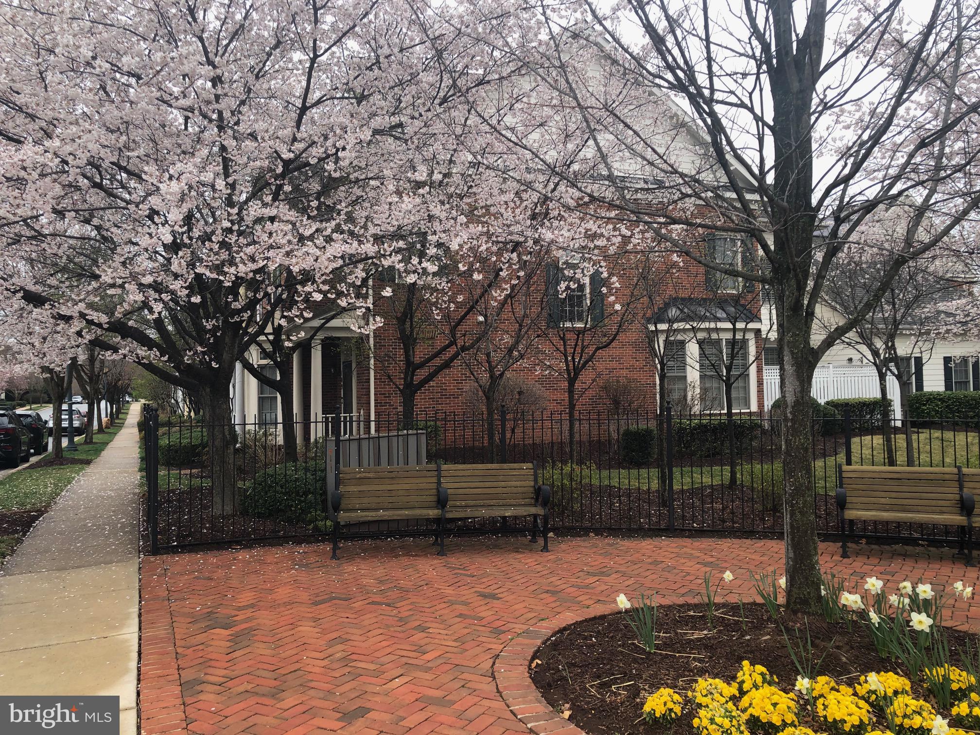 FALLSGROVE - Residential