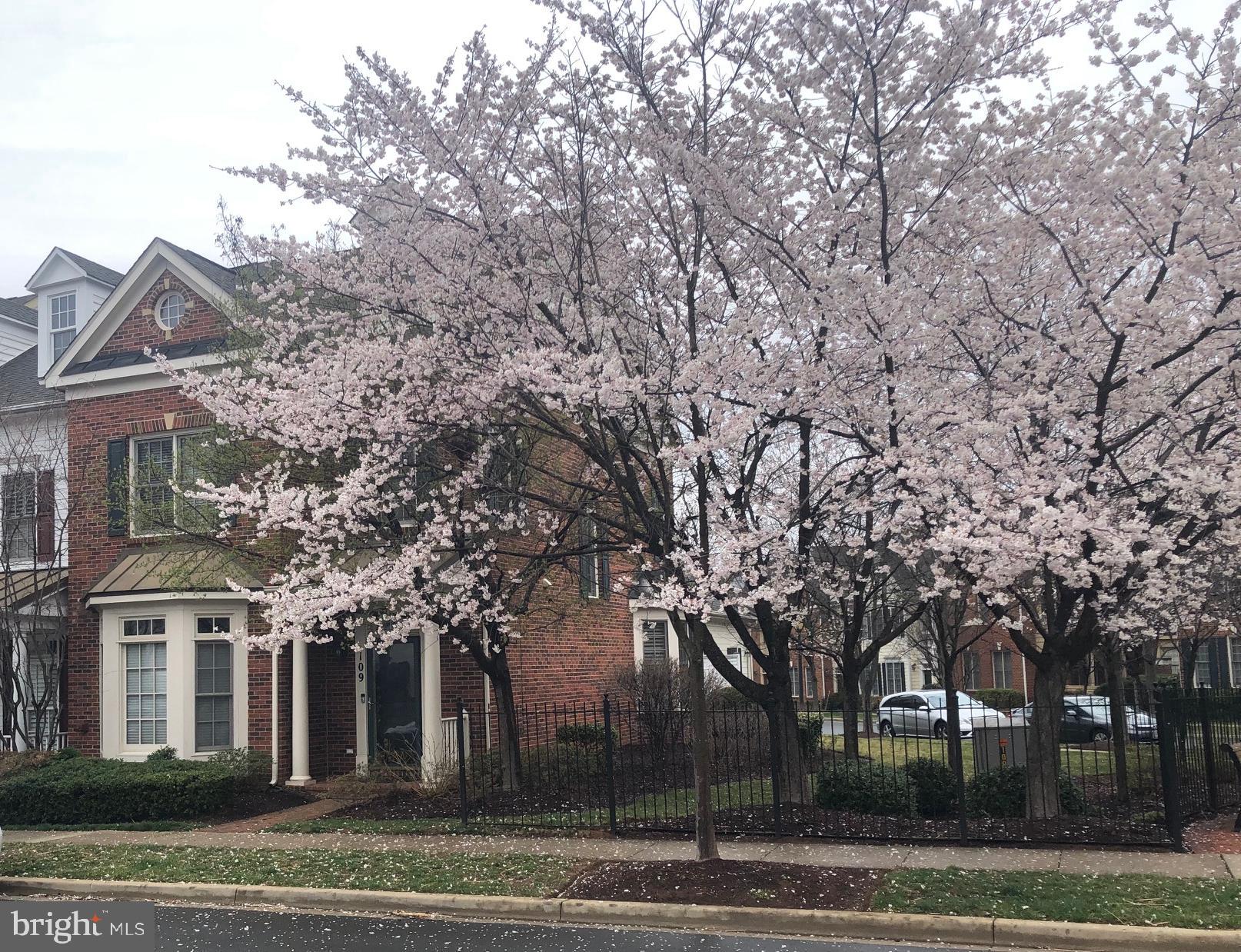 FALLSGROVE - Residential