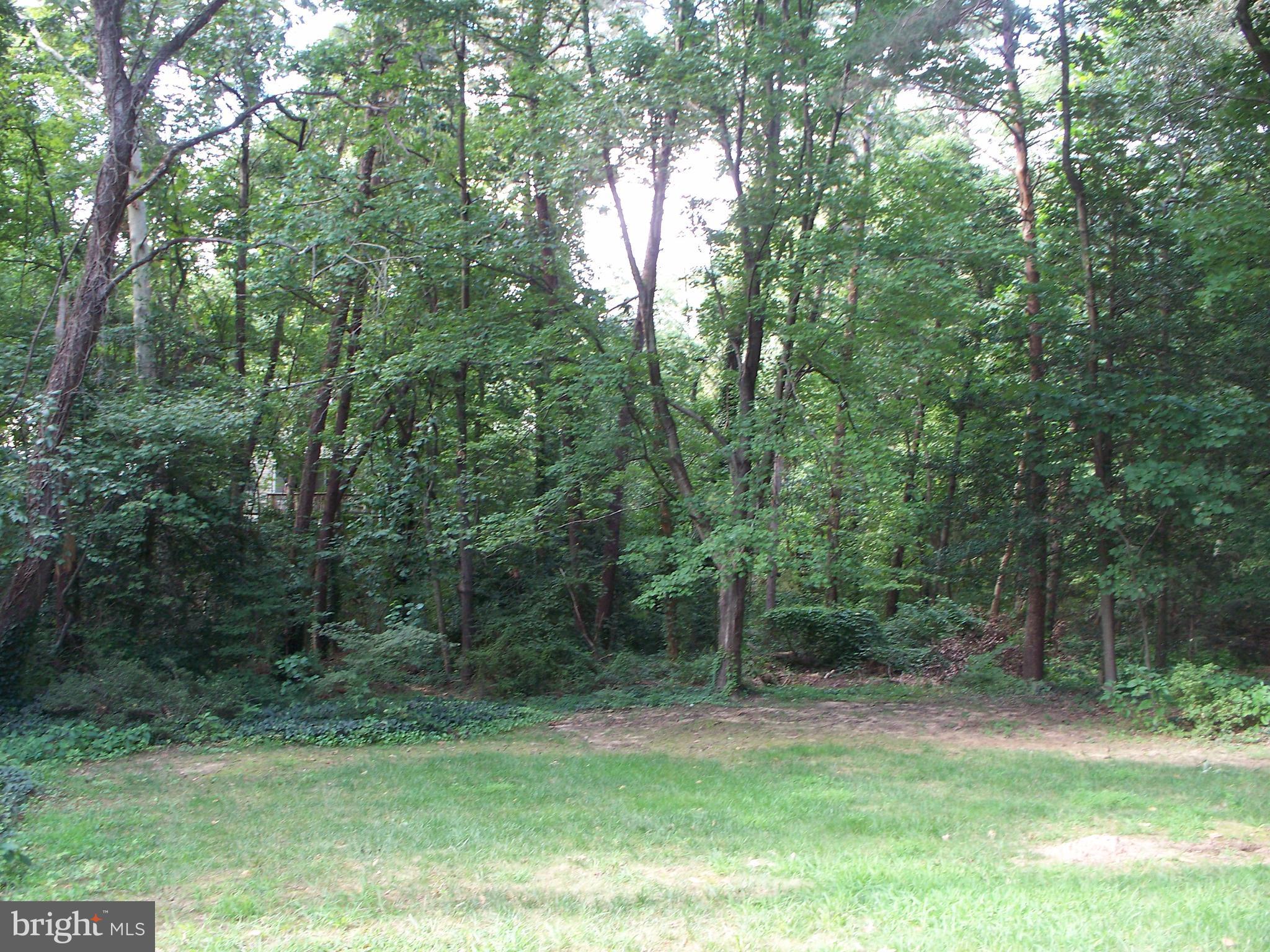 SEVERNDALE - Residential Lease