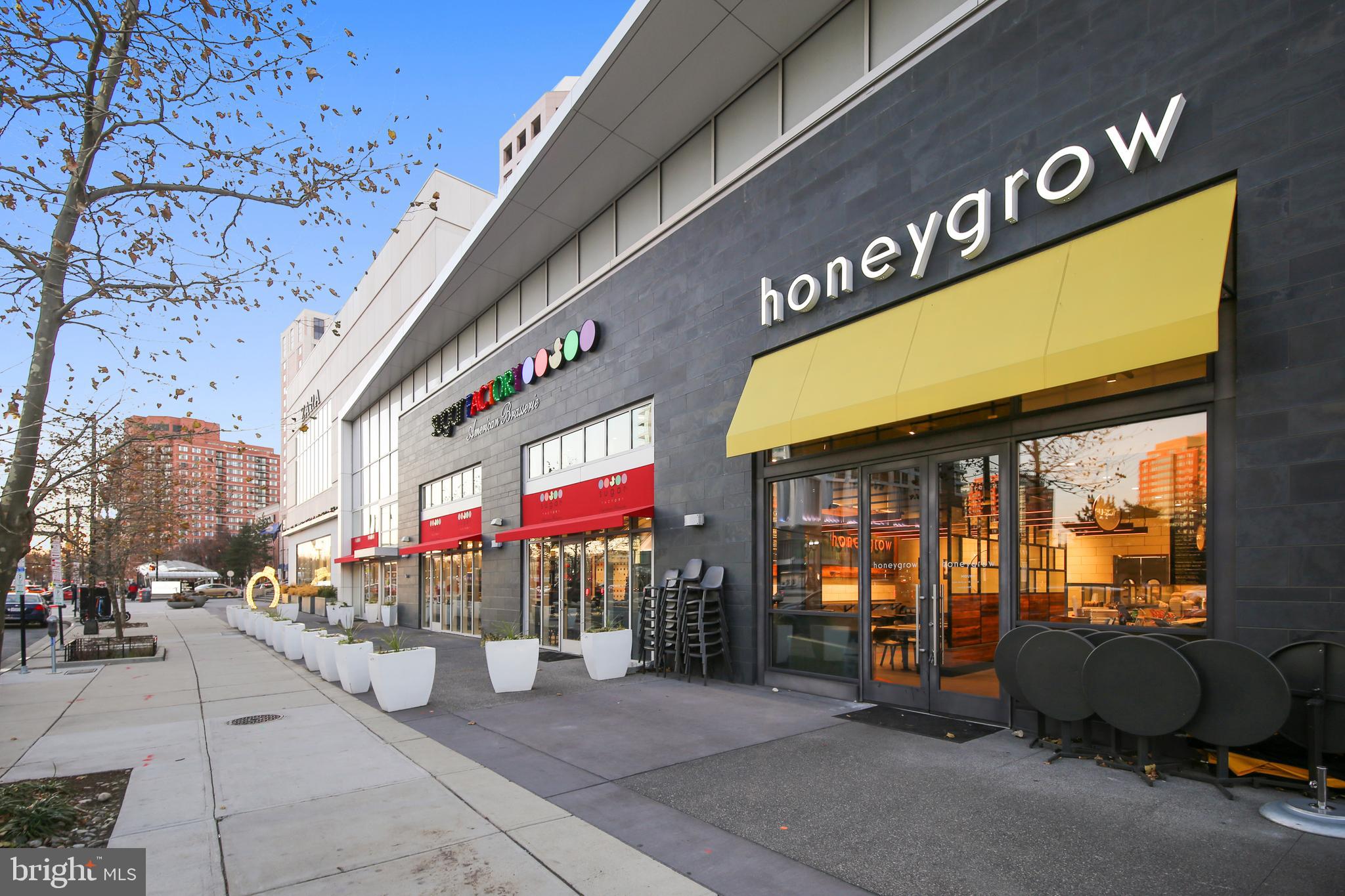 THE REPRESENTATIVE - Residential Lease