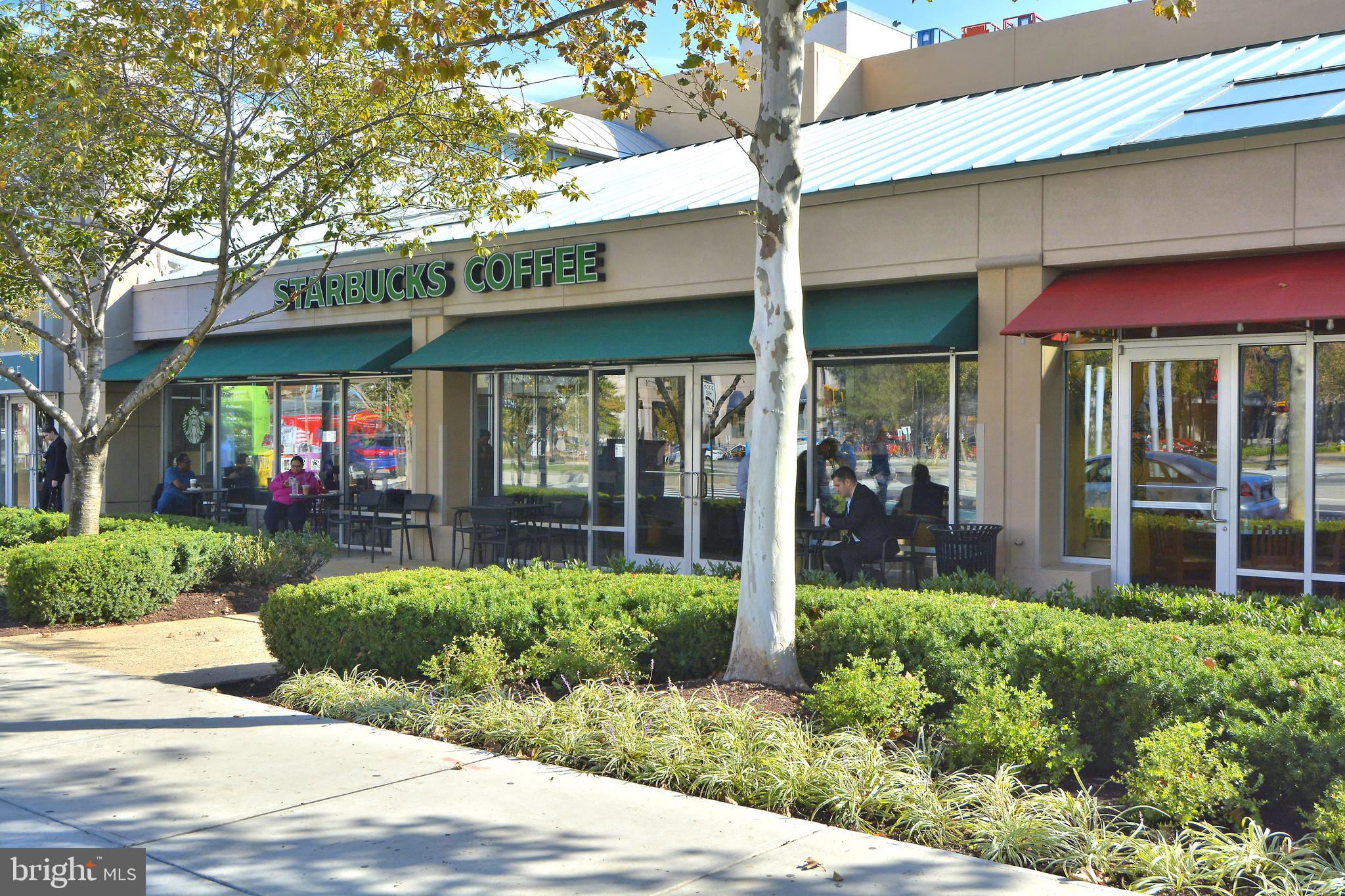 THE REPRESENTATIVE - Residential Lease