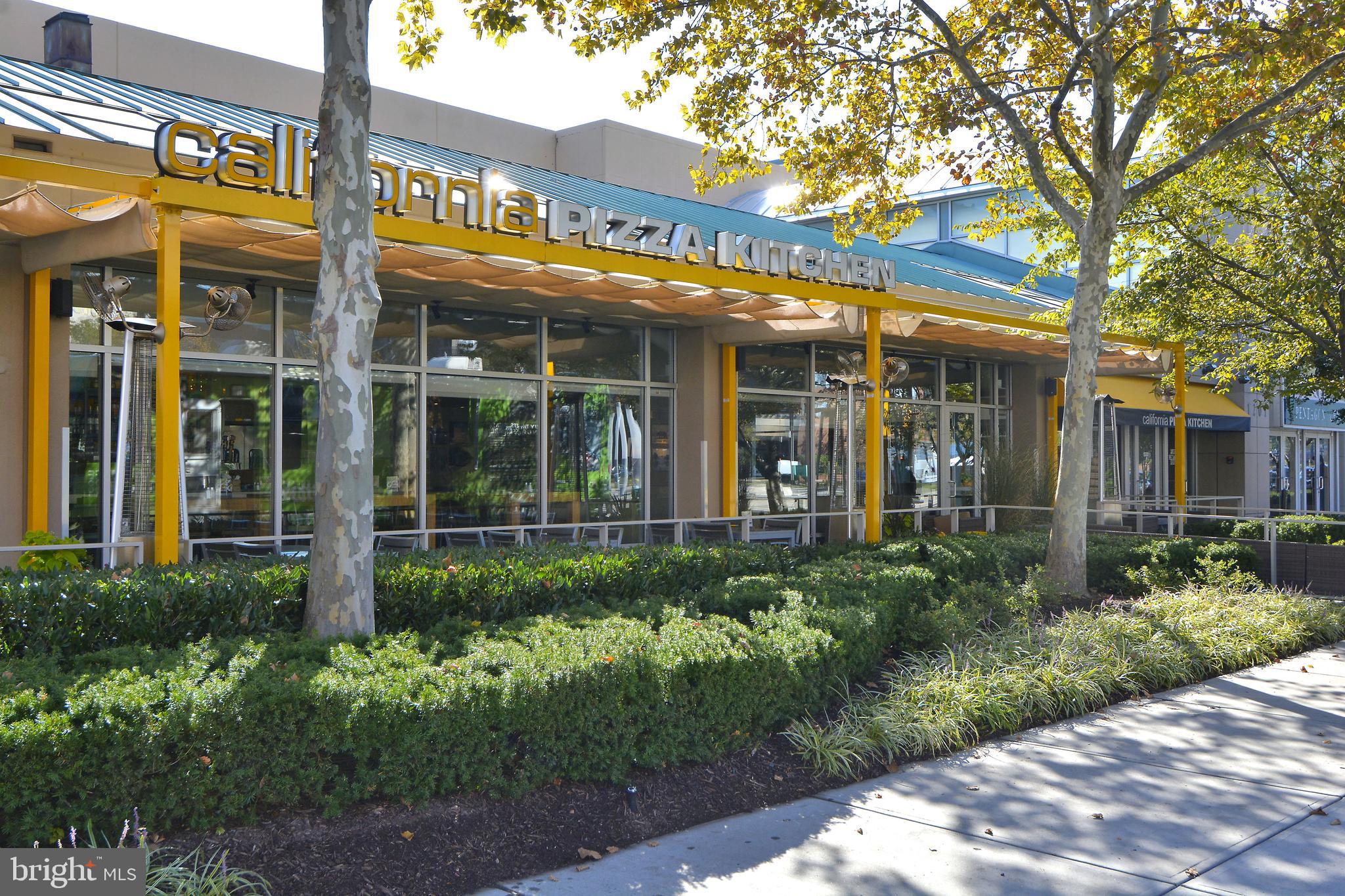 THE REPRESENTATIVE - Residential Lease