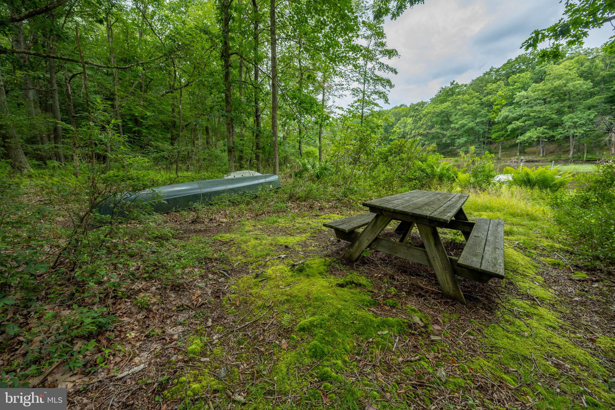 MEADOW MOUNTAIN RUN - Land