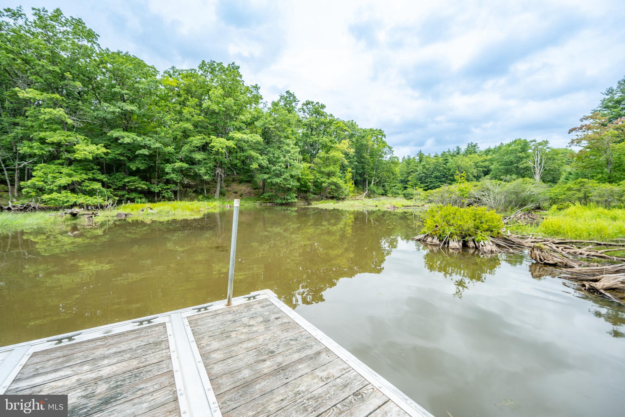 MEADOW MOUNTAIN RUN - Land