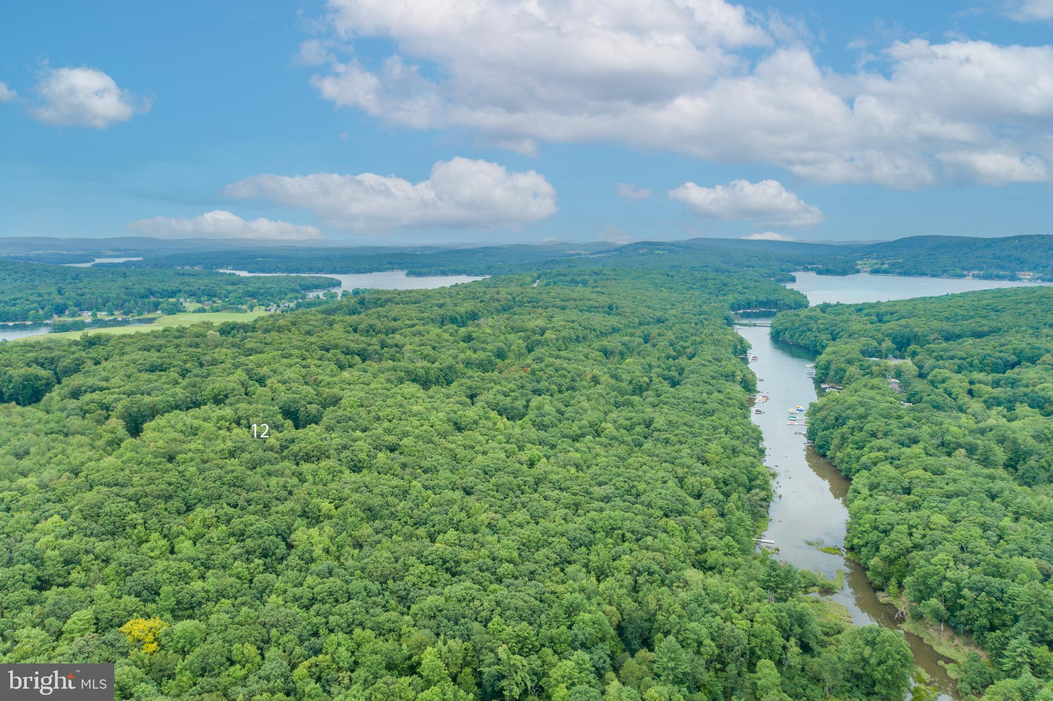 MEADOW MOUNTAIN RUN - Land