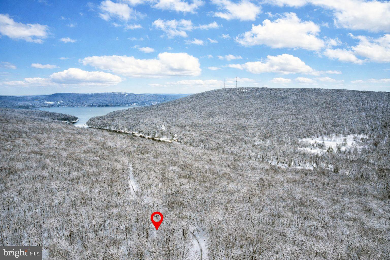 MEADOW MOUNTAIN RUN - Land