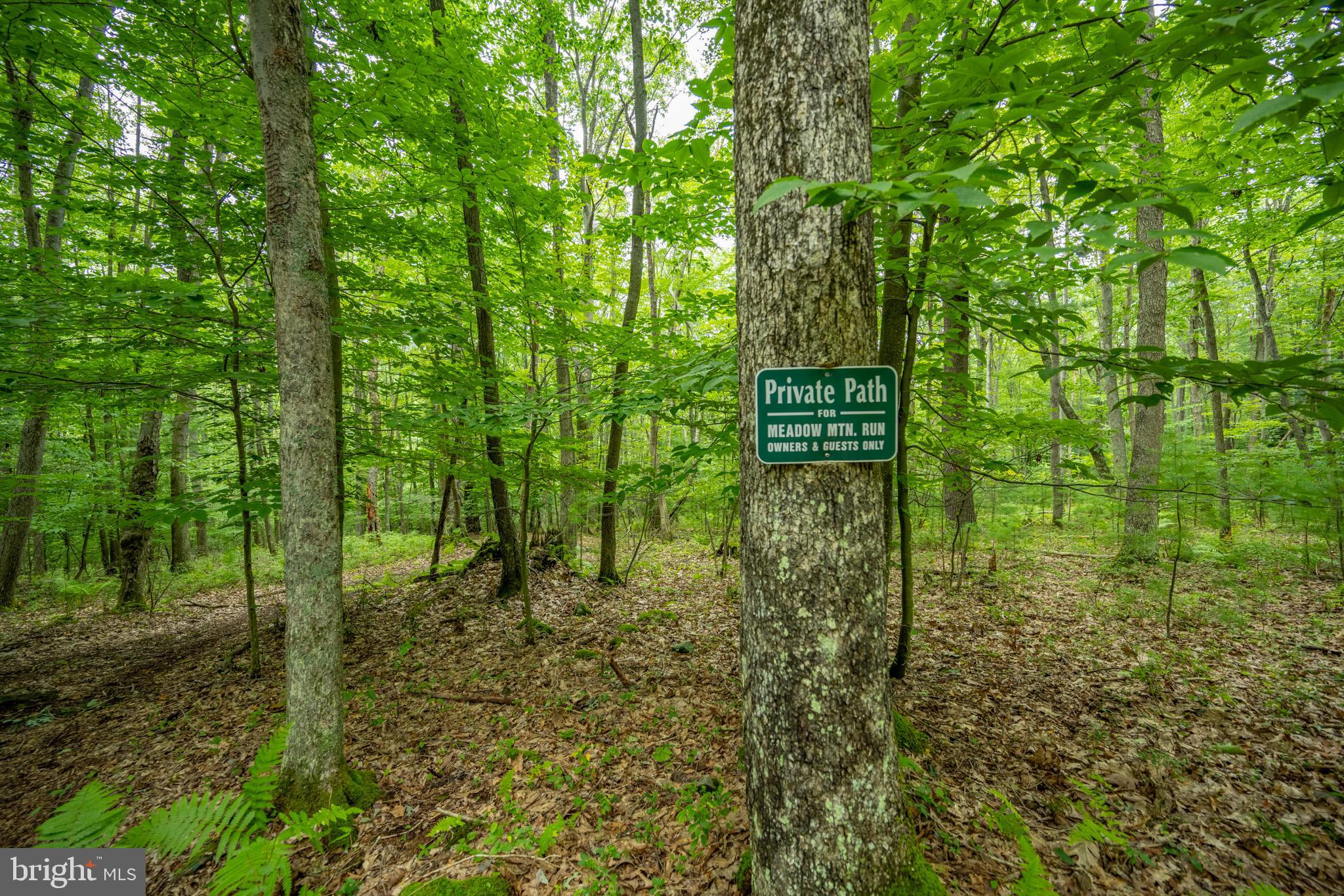 MEADOW MOUNTAIN RUN - Land