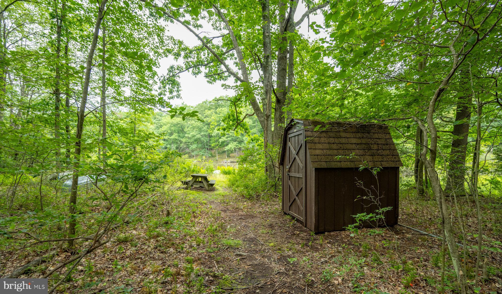 MEADOW MOUNTAIN RUN - Land