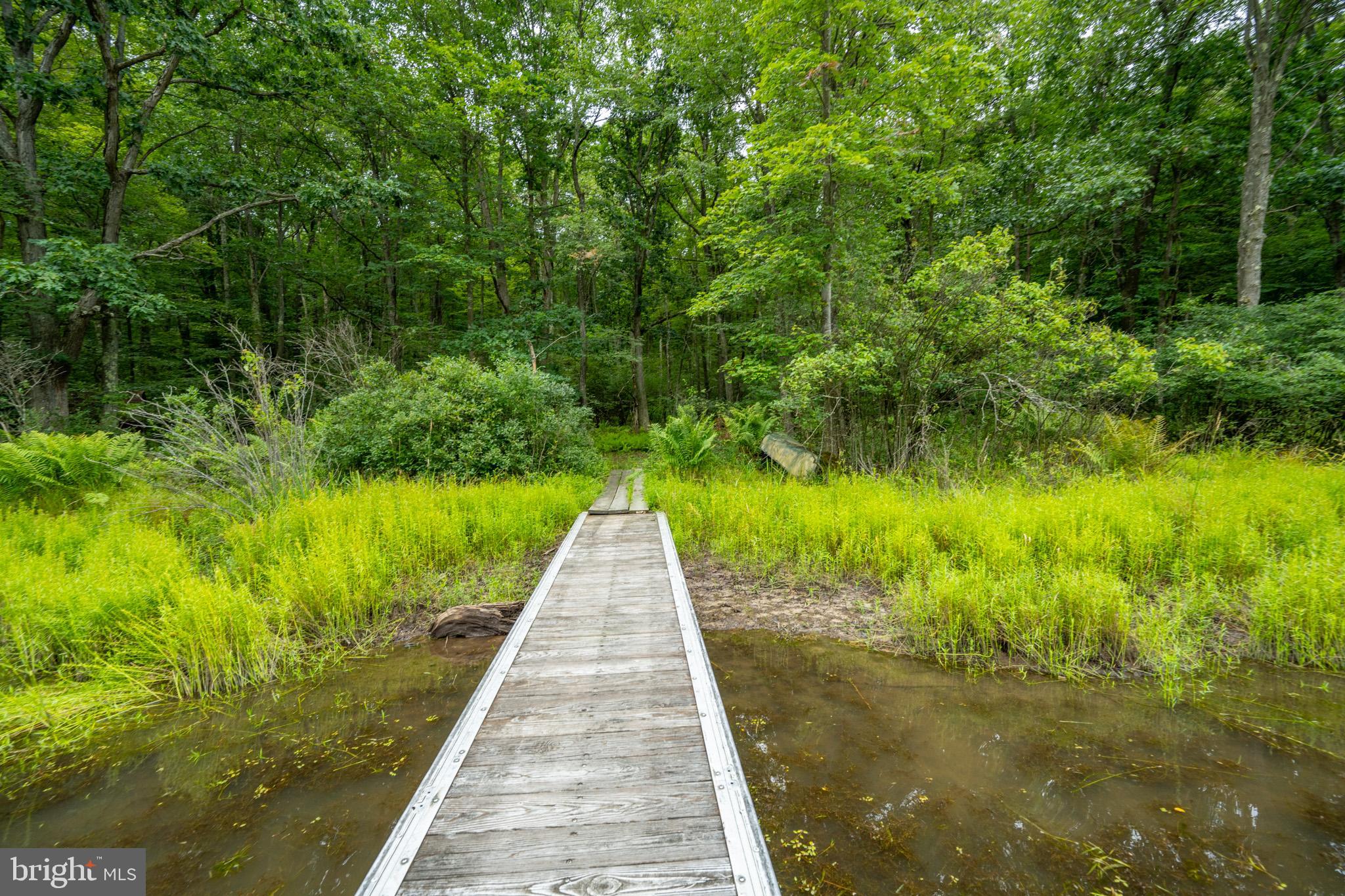 MEADOW MOUNTAIN RUN - Land
