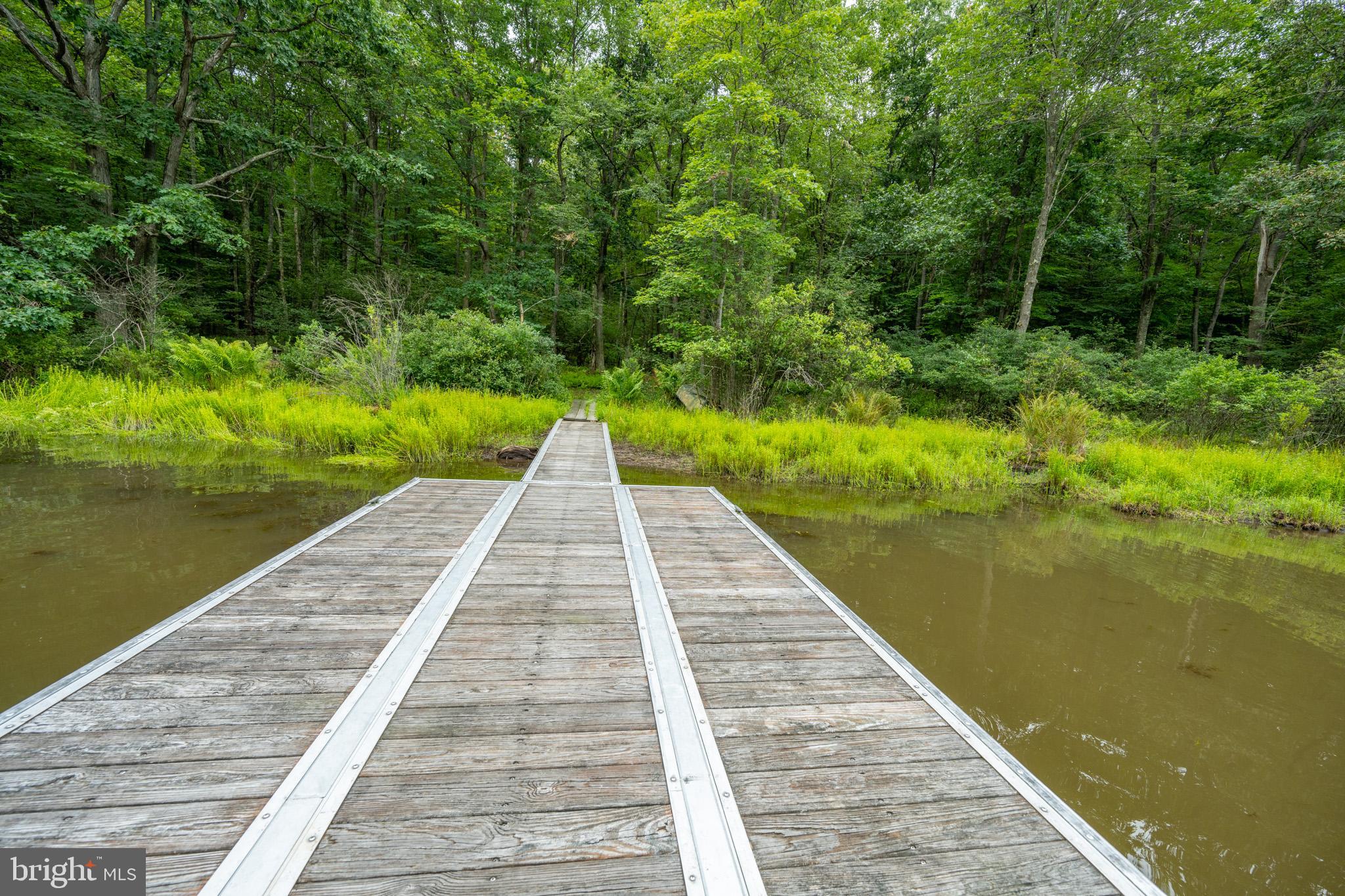 MEADOW MOUNTAIN RUN - Land
