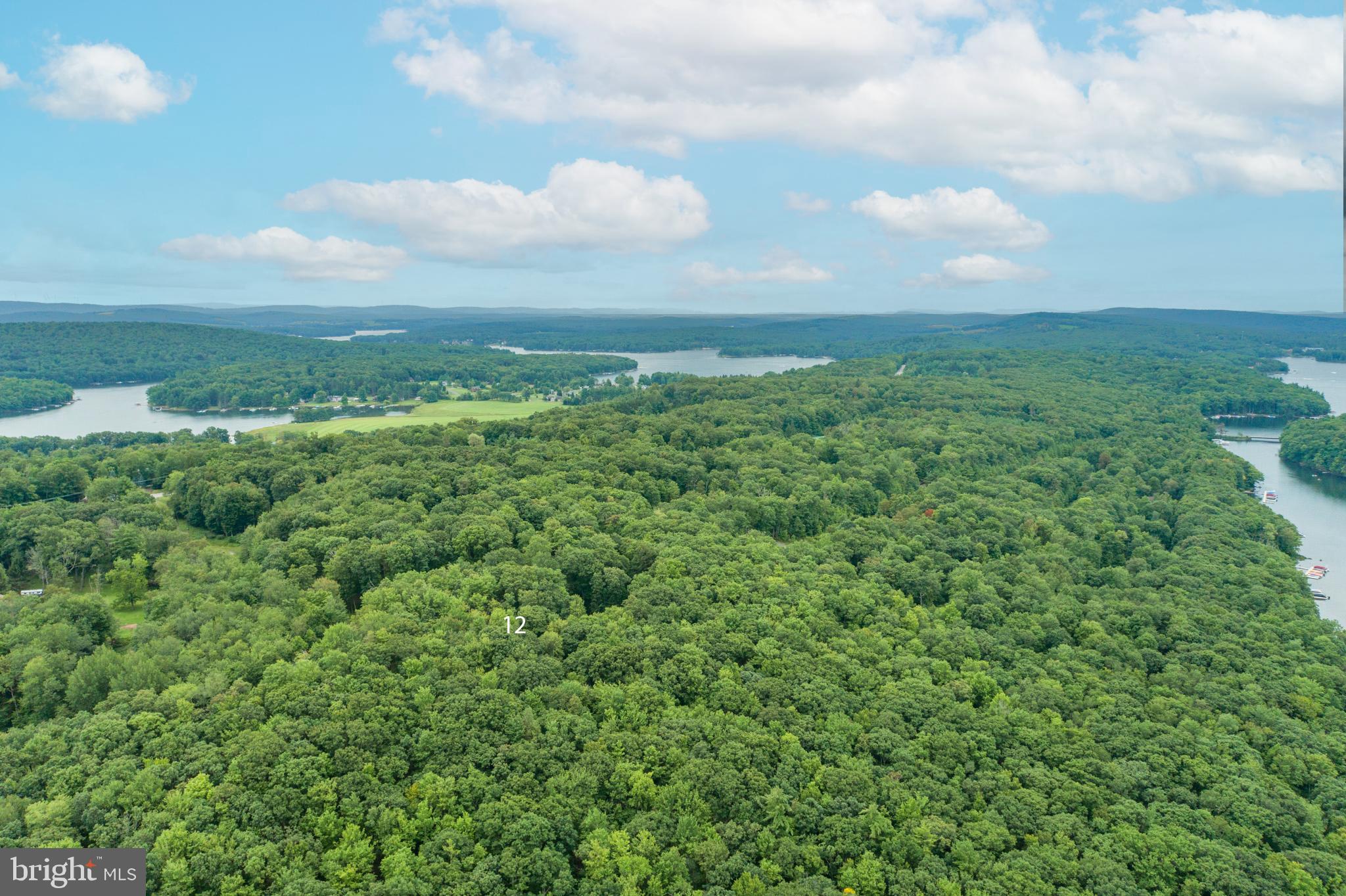 MEADOW MOUNTAIN RUN - Land