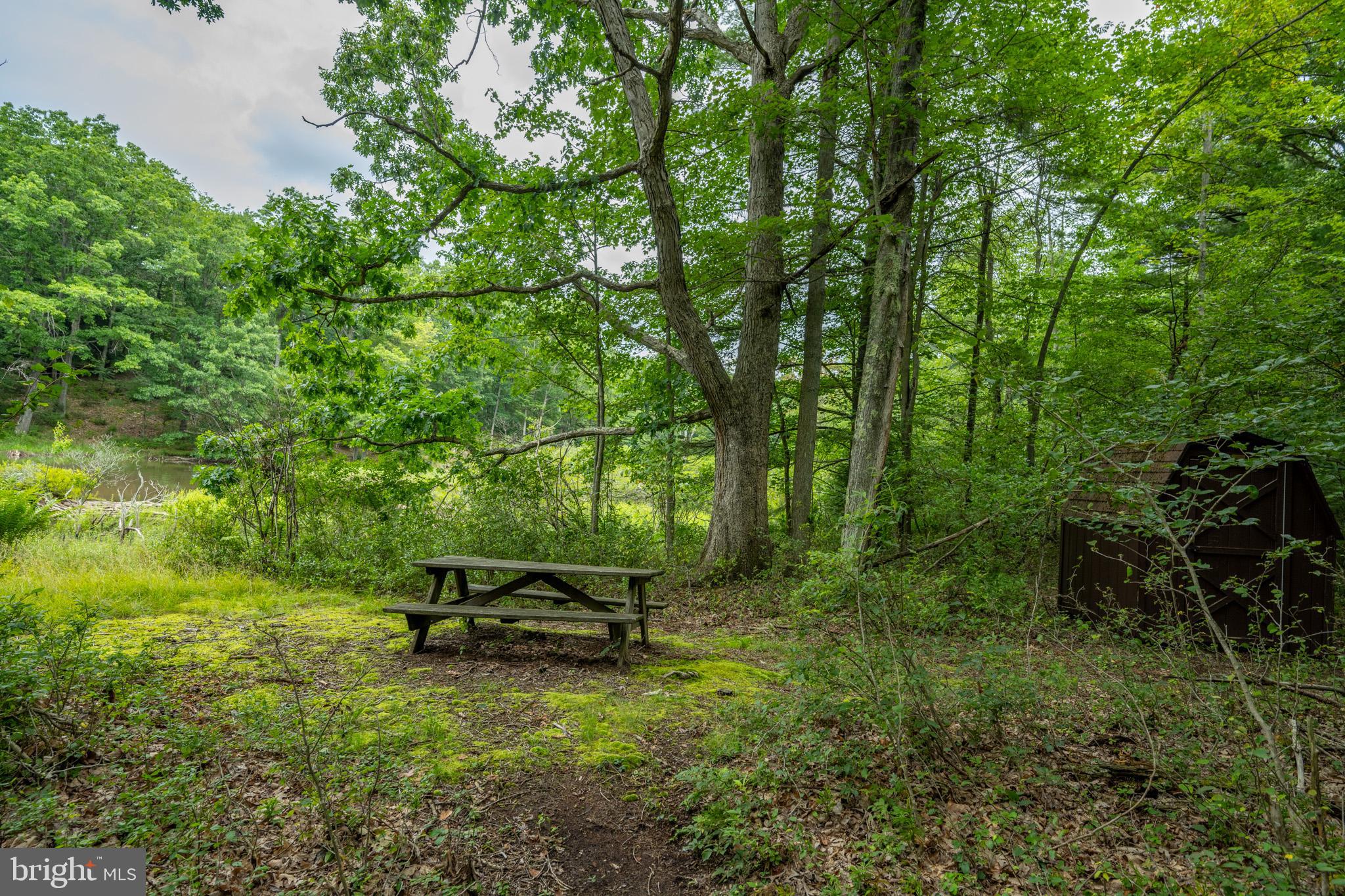 MEADOW MOUNTAIN RUN - Land
