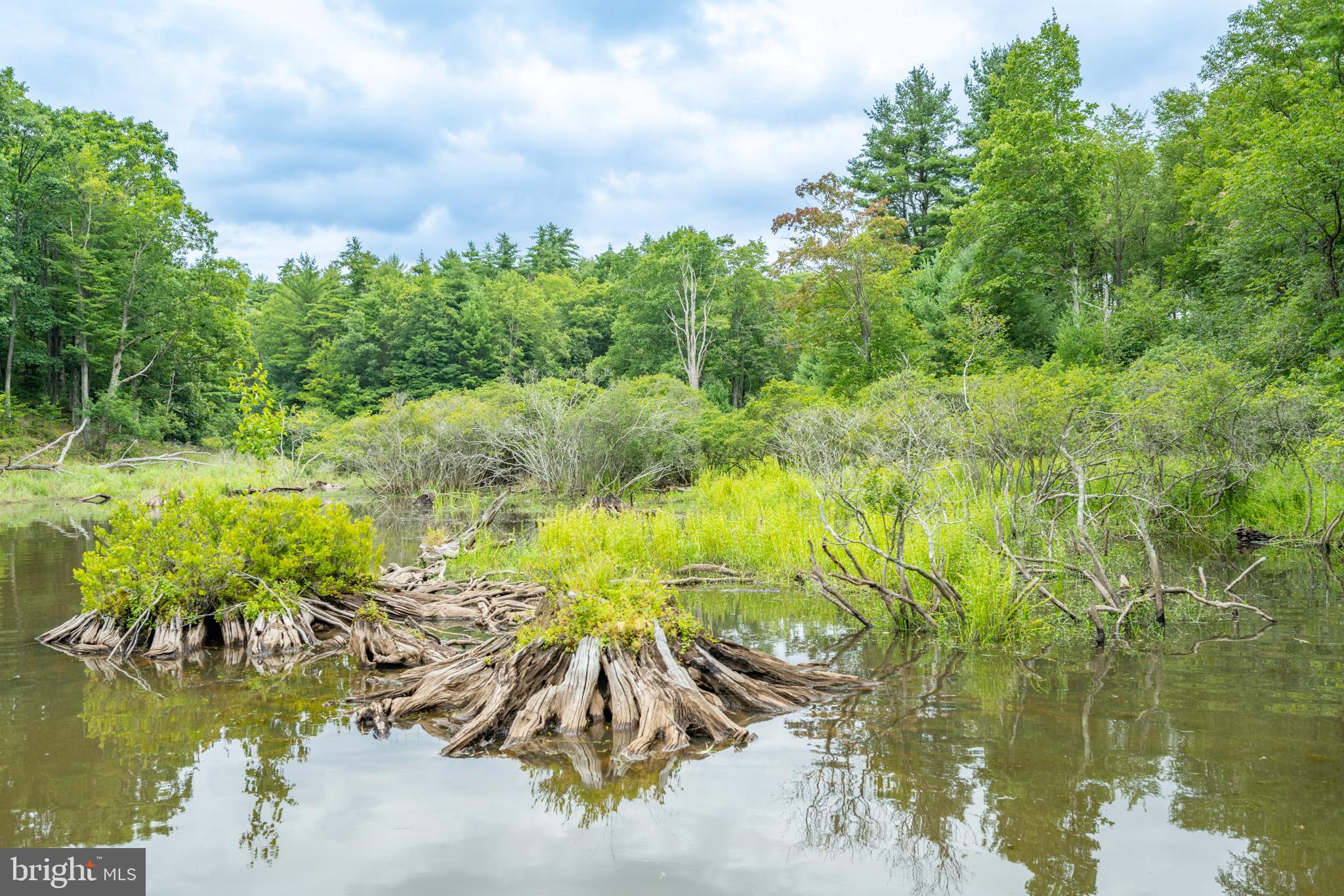 MEADOW MOUNTAIN RUN - Land