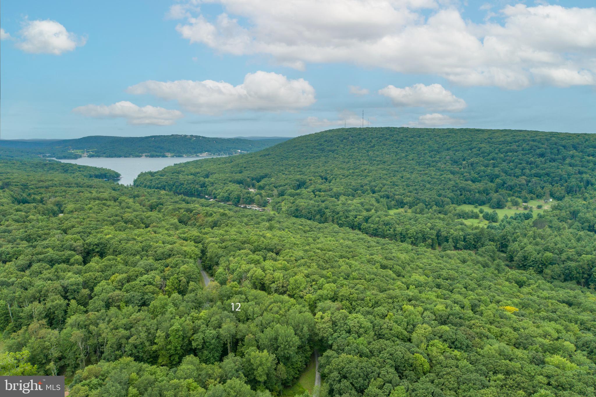 MEADOW MOUNTAIN RUN - Land
