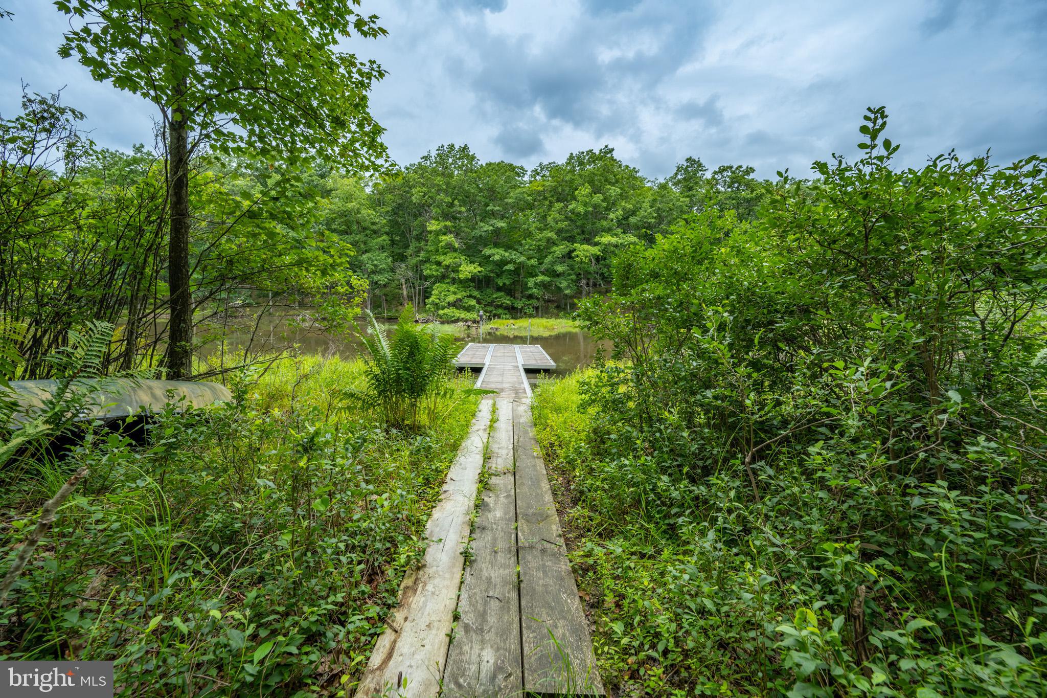 MEADOW MOUNTAIN RUN - Land
