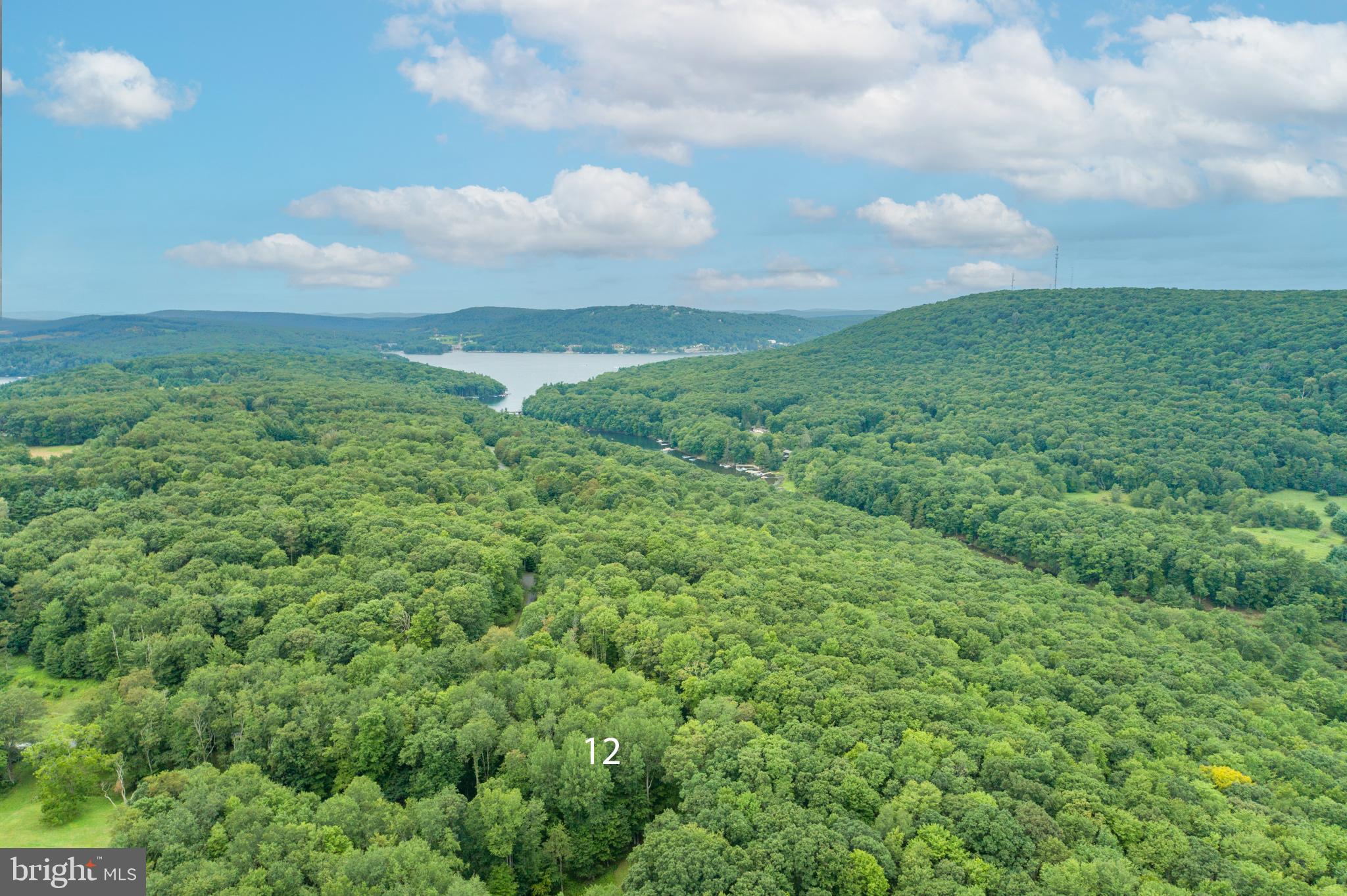 MEADOW MOUNTAIN RUN - Land
