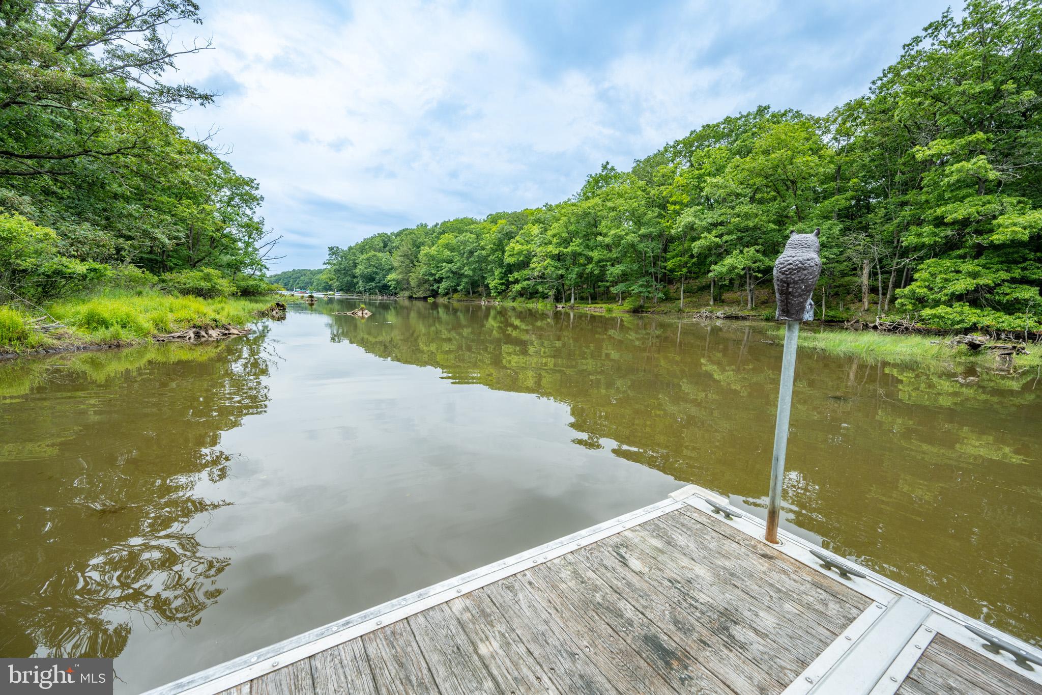 MEADOW MOUNTAIN RUN - Land
