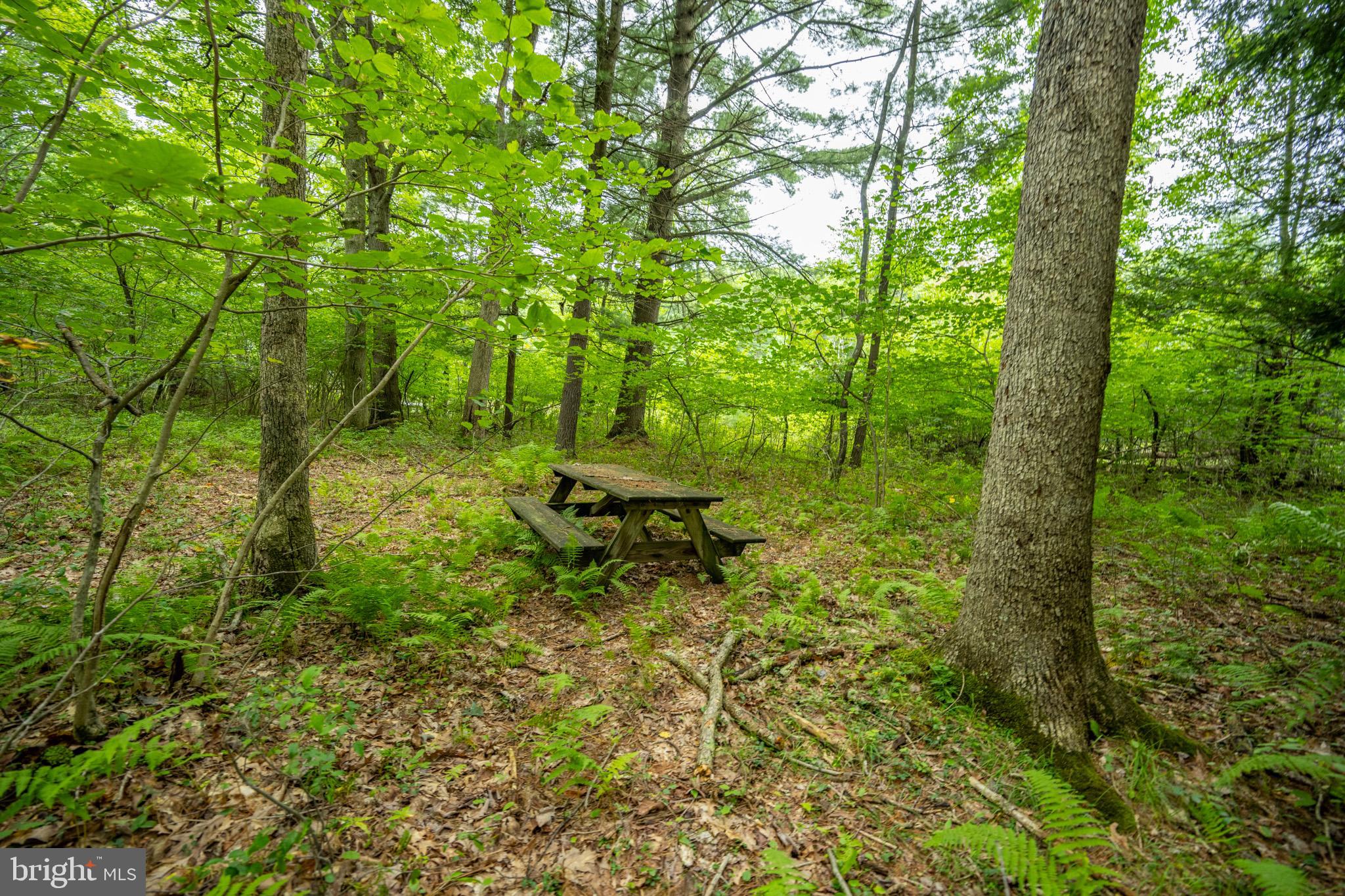 MEADOW MOUNTAIN RUN - Land