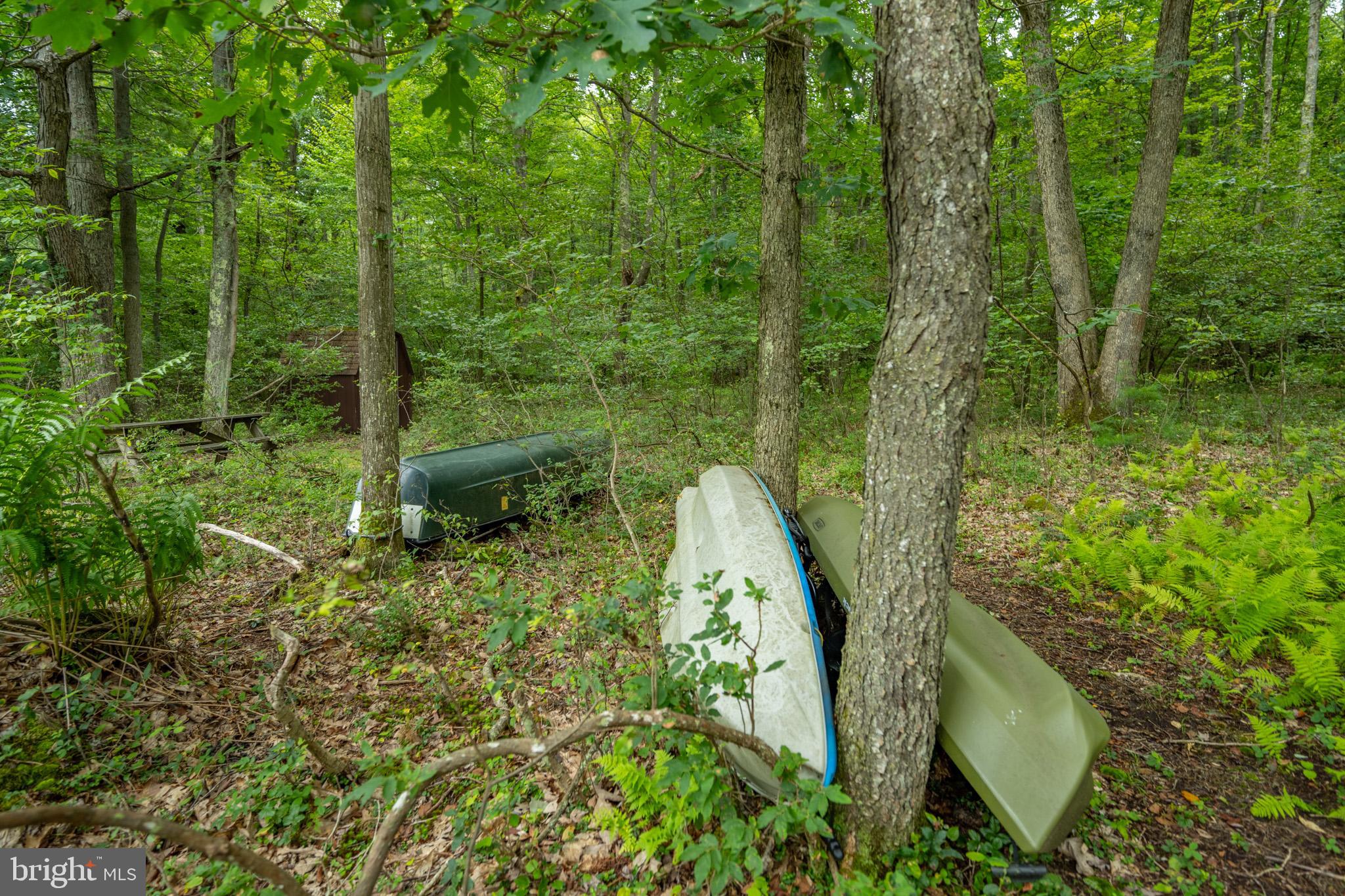 MEADOW MOUNTAIN RUN - Land