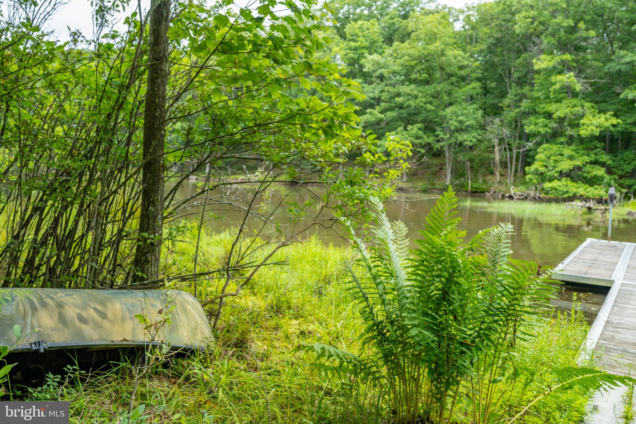 MEADOW MOUNTAIN RUN - Land