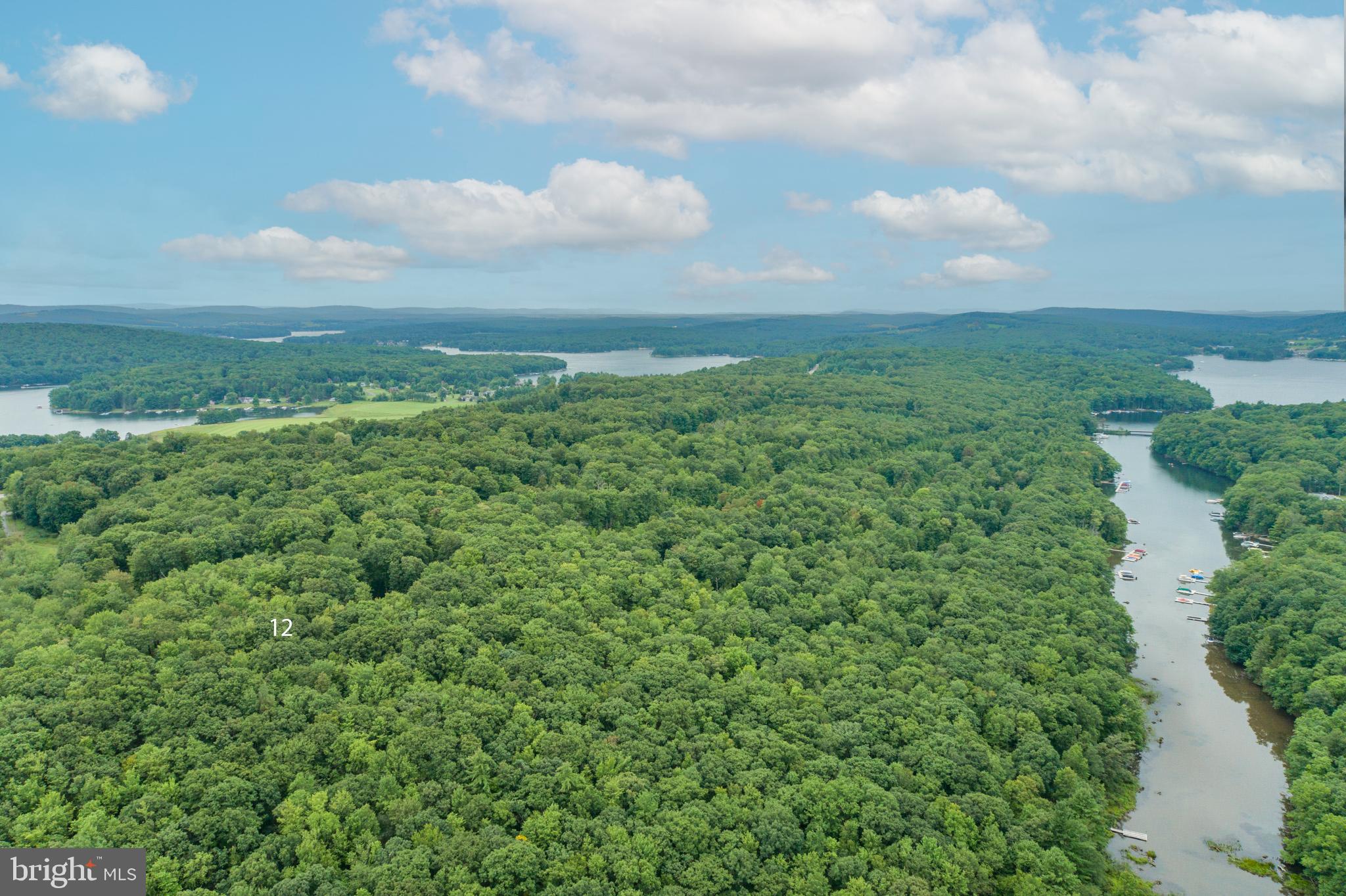 MEADOW MOUNTAIN RUN - Land