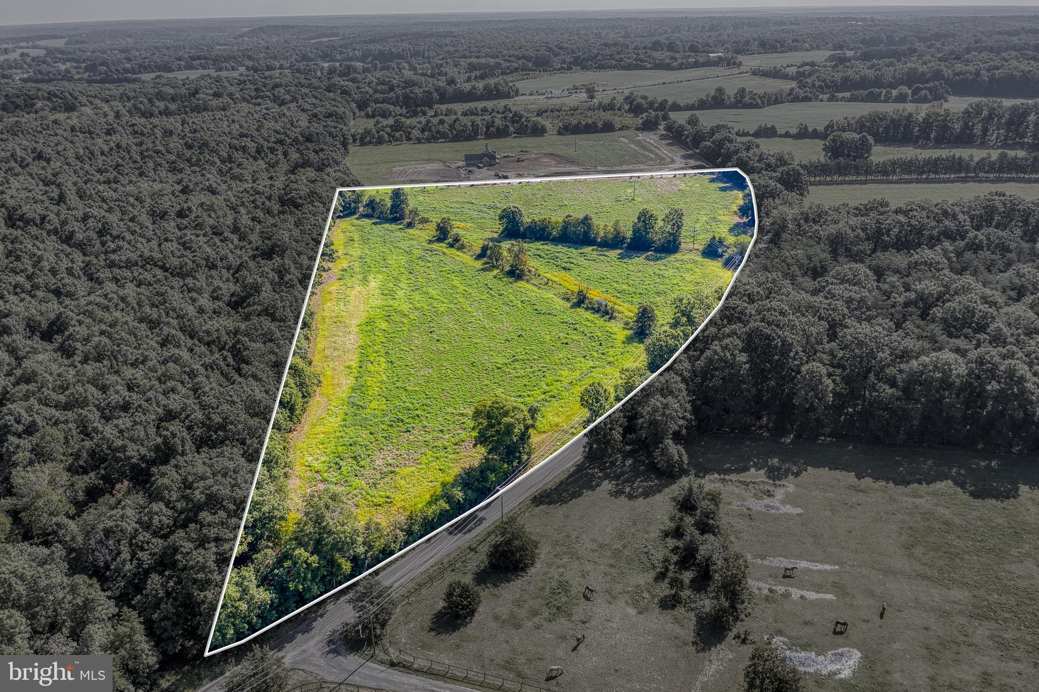 SHEPPERDS GROVE - Land