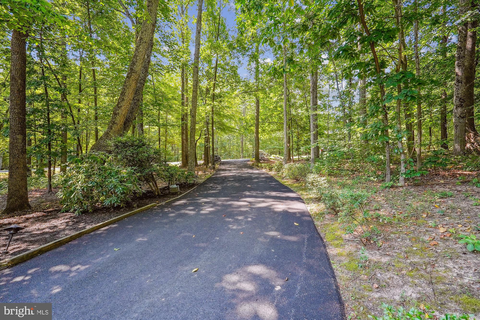 BIG WOODS - Residential