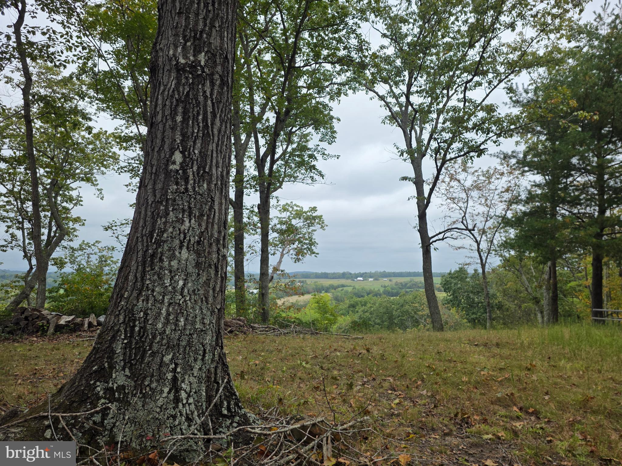 LAND SUNSET WOODS TRAIL