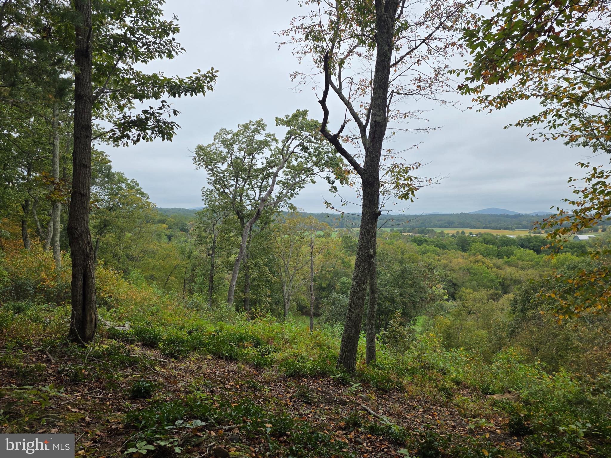 LAND SUNSET WOODS TRAIL