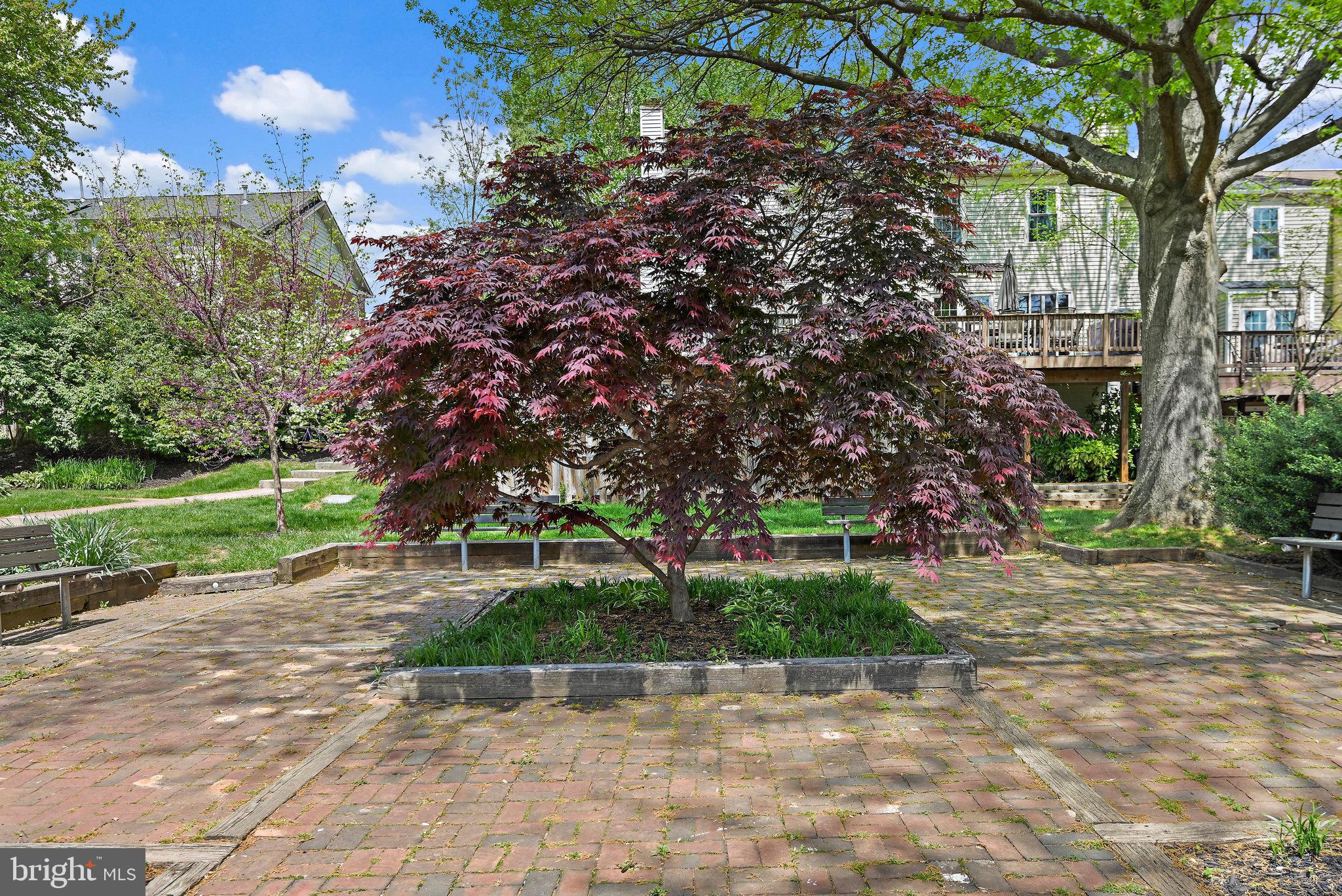 BRAXTON - Residential