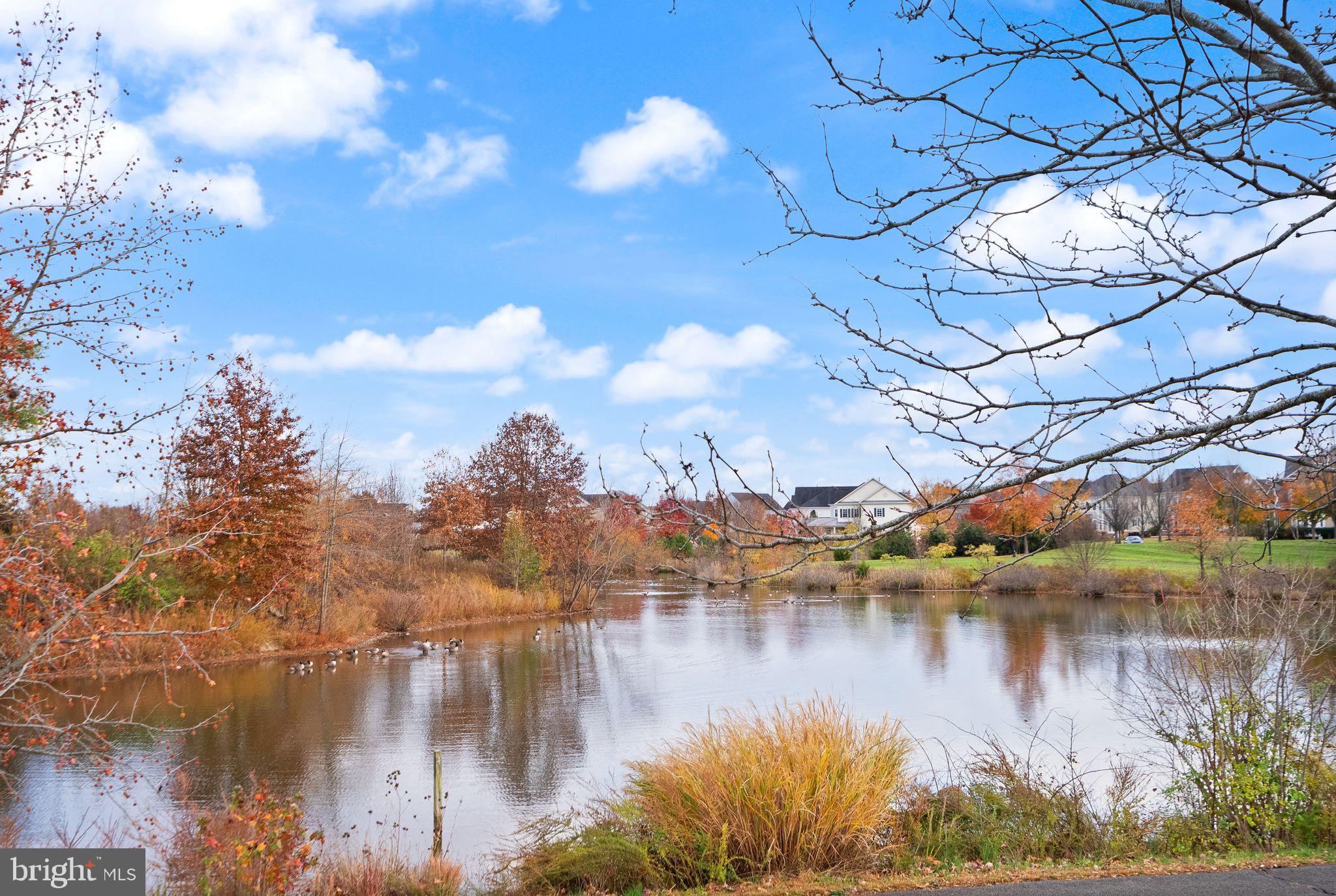 NEW BRISTOW VILLAGE - Residential Lease