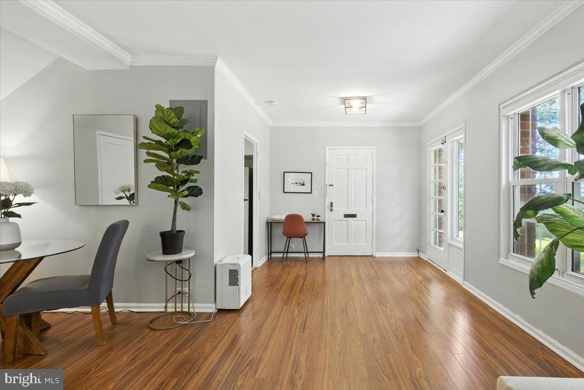 3504 MARTHA CUSTIS DRIVE 315